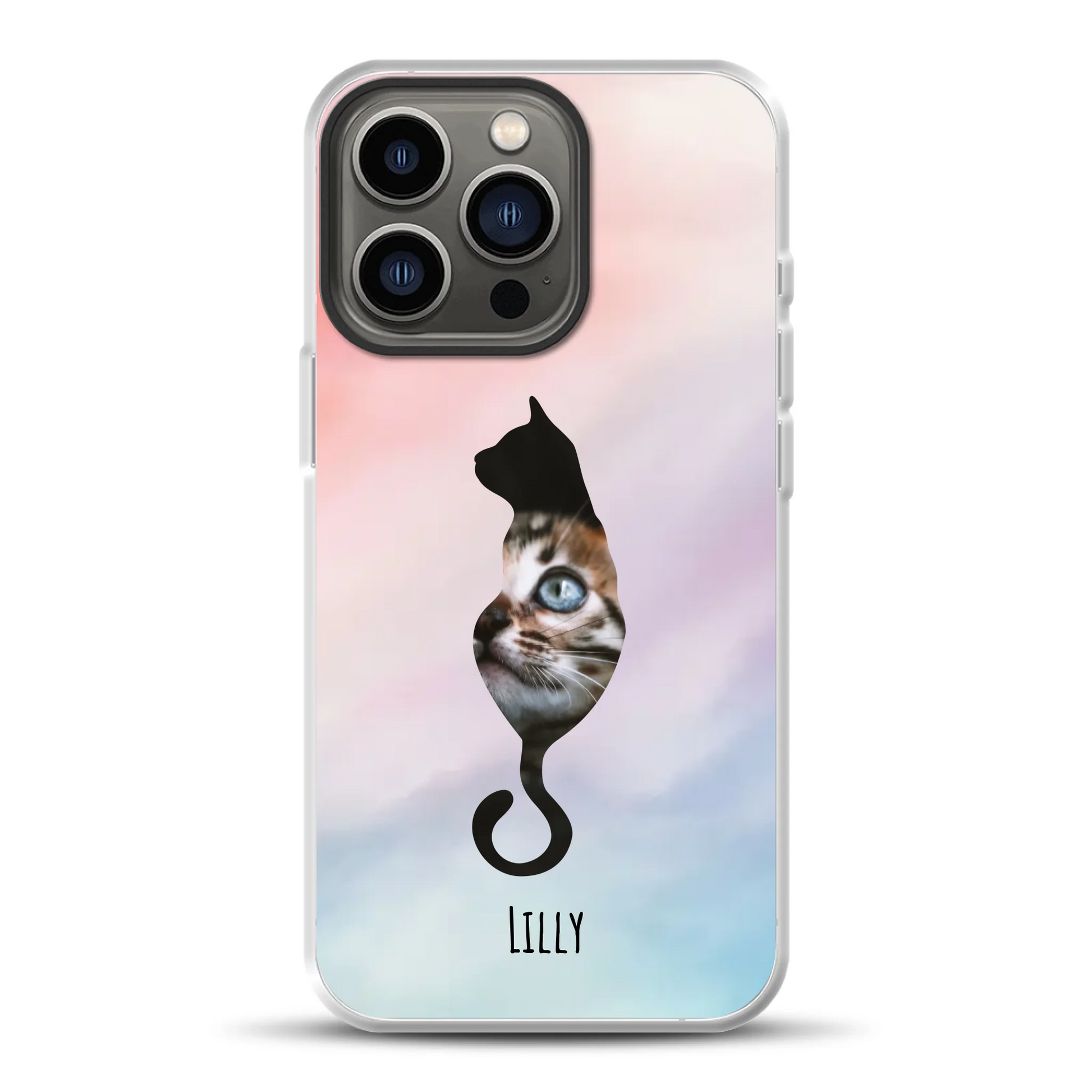 rv25_0005_hybrid-13-pro-mockup.png