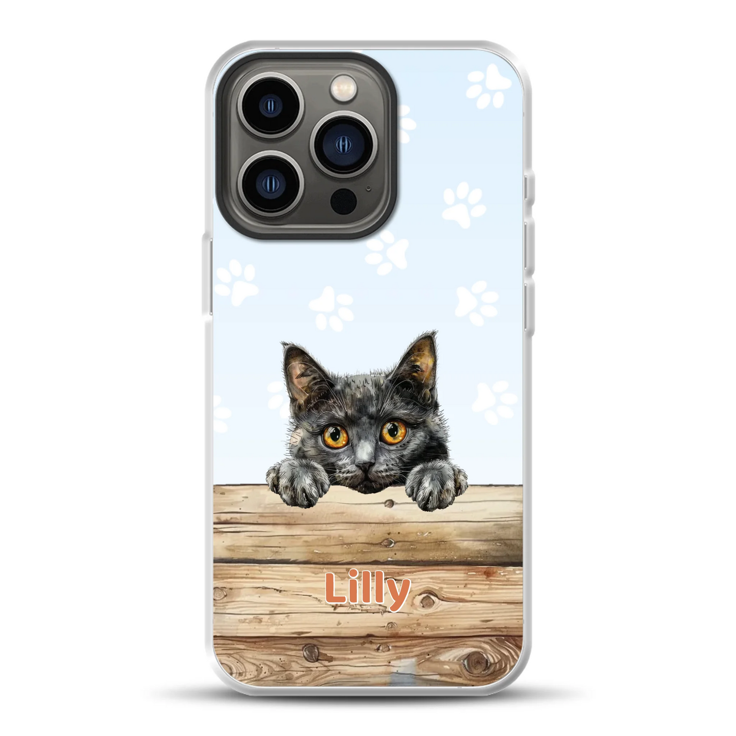 rv25_0005_hybrid-13-pro-mockup.png