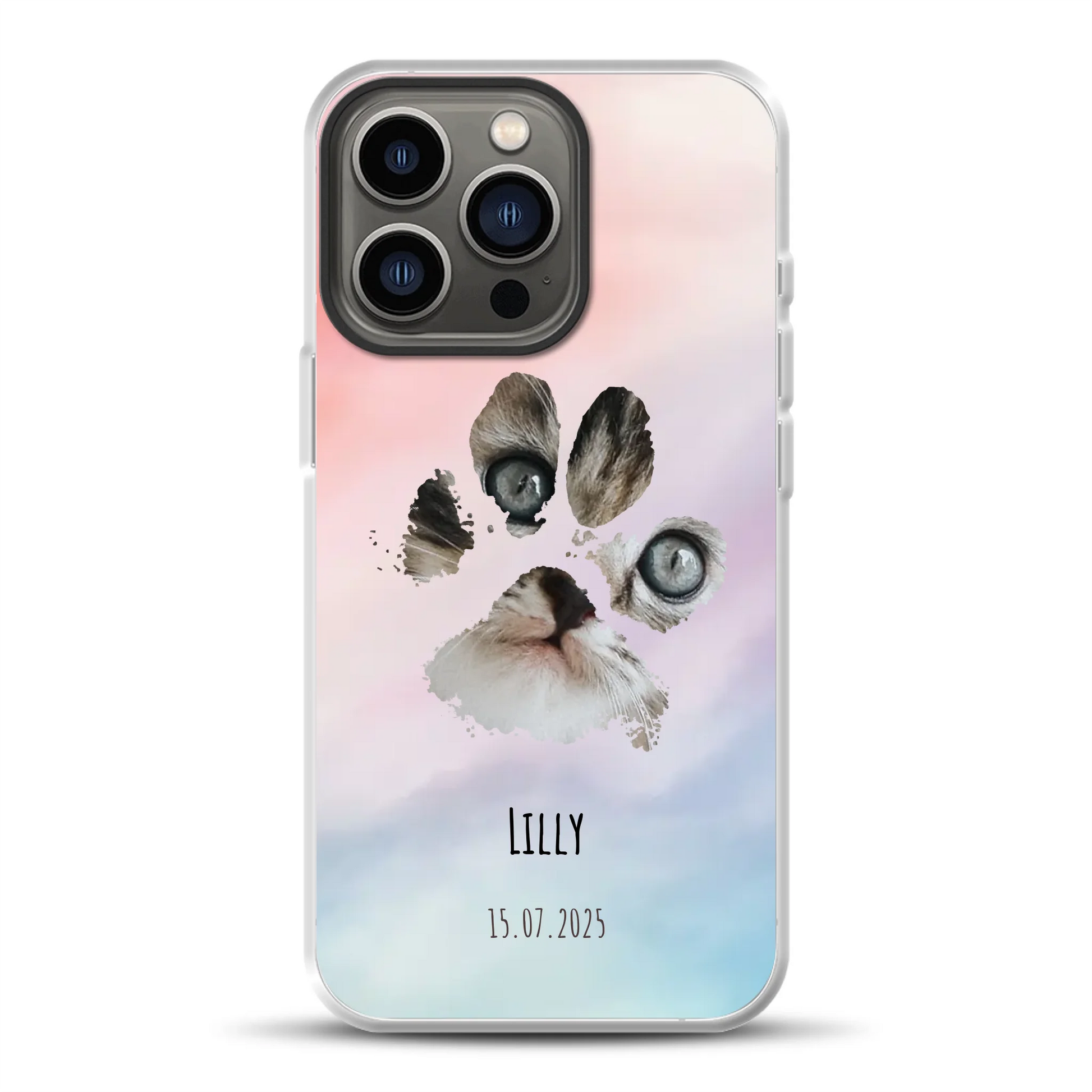 rv25_0005_hybrid-13-pro-mockup.png