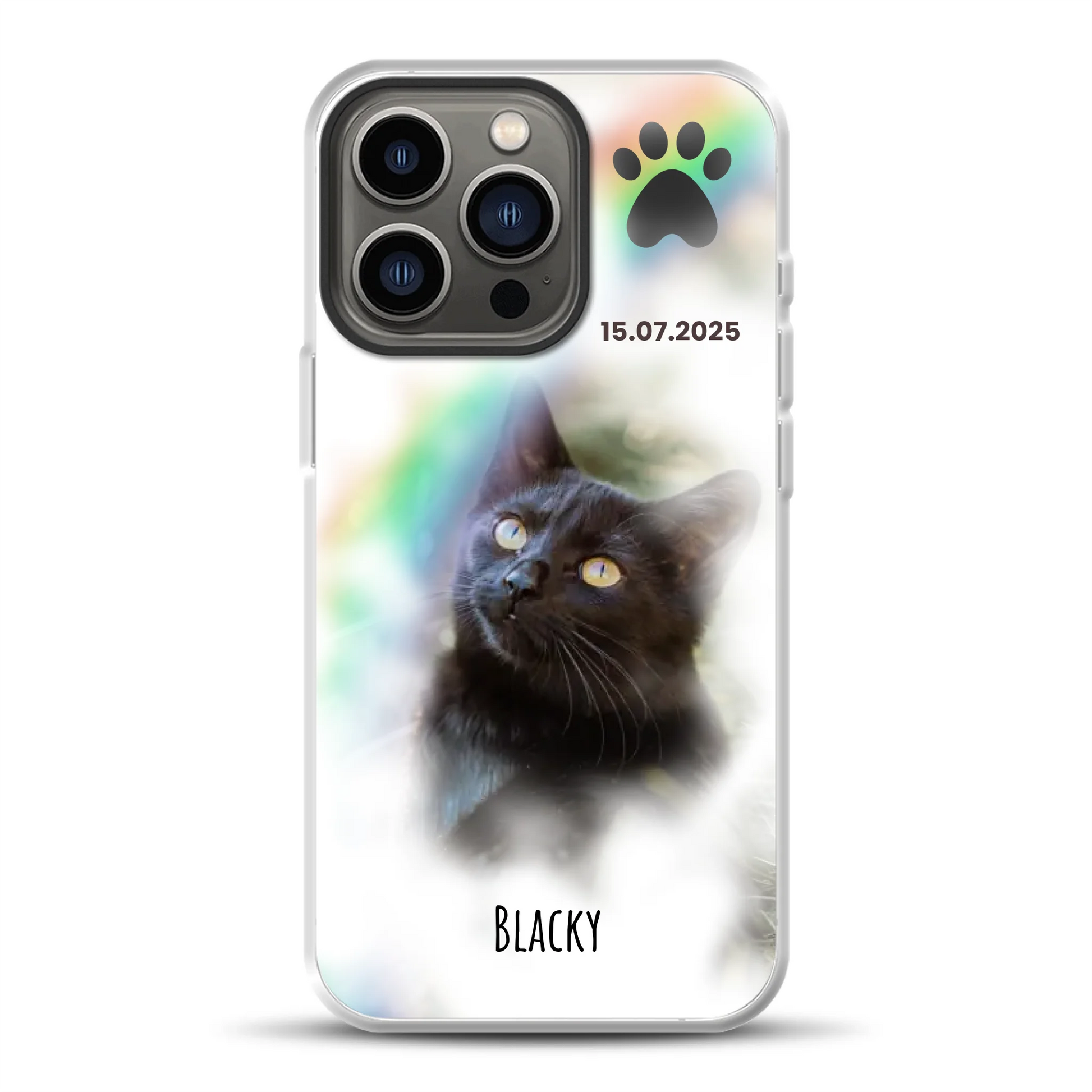 rv25_0005_hybrid-13-pro-mockup.png