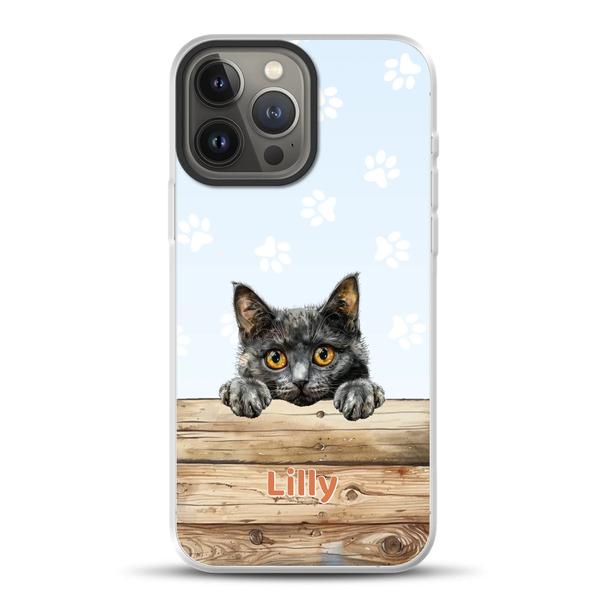 rv25_0004_hybrid-13-pro-max-mockup.png