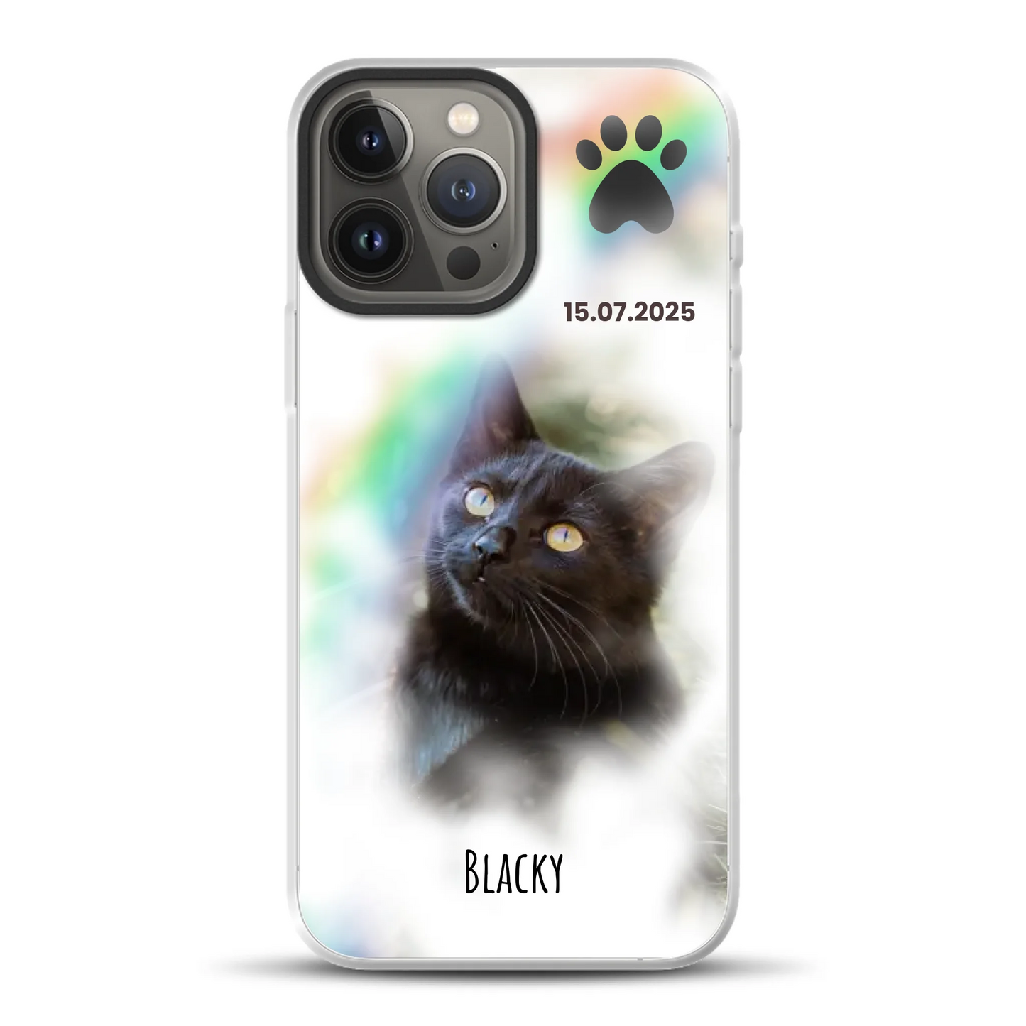 rv25_0004_hybrid-13-pro-max-mockup.png