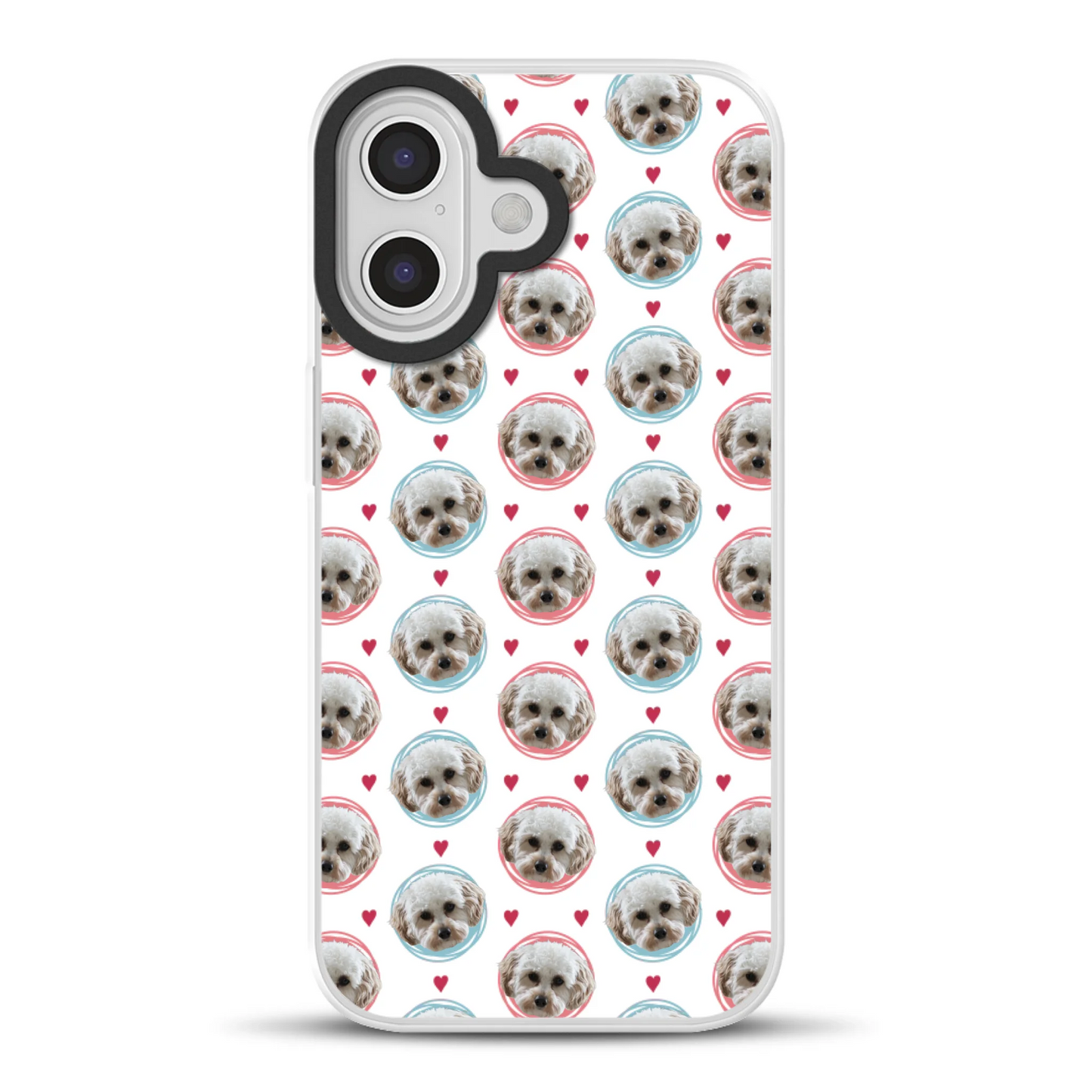 17hybridmockup.png