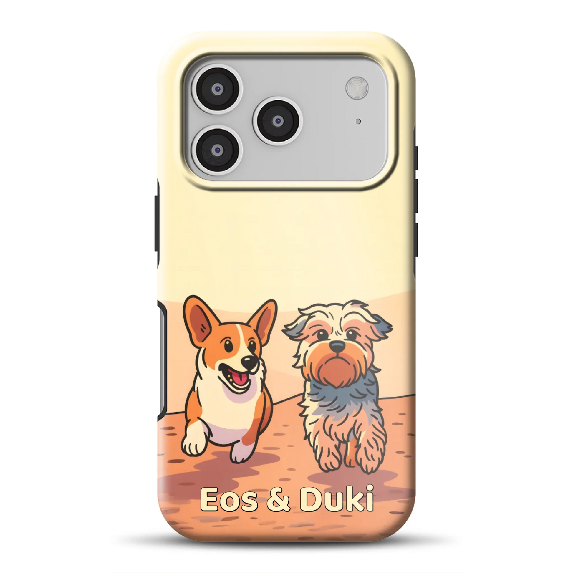 17promagsafemockup.png