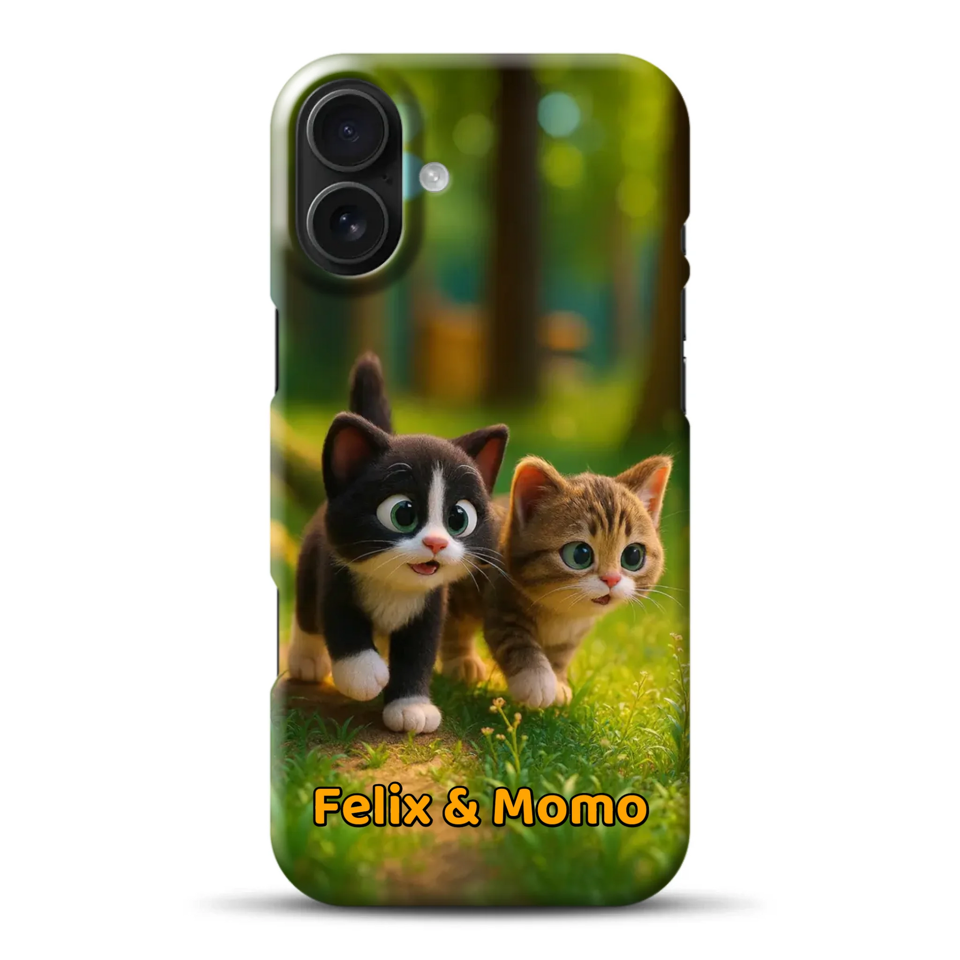 hardcase_0006_16-plus-mockup.png
