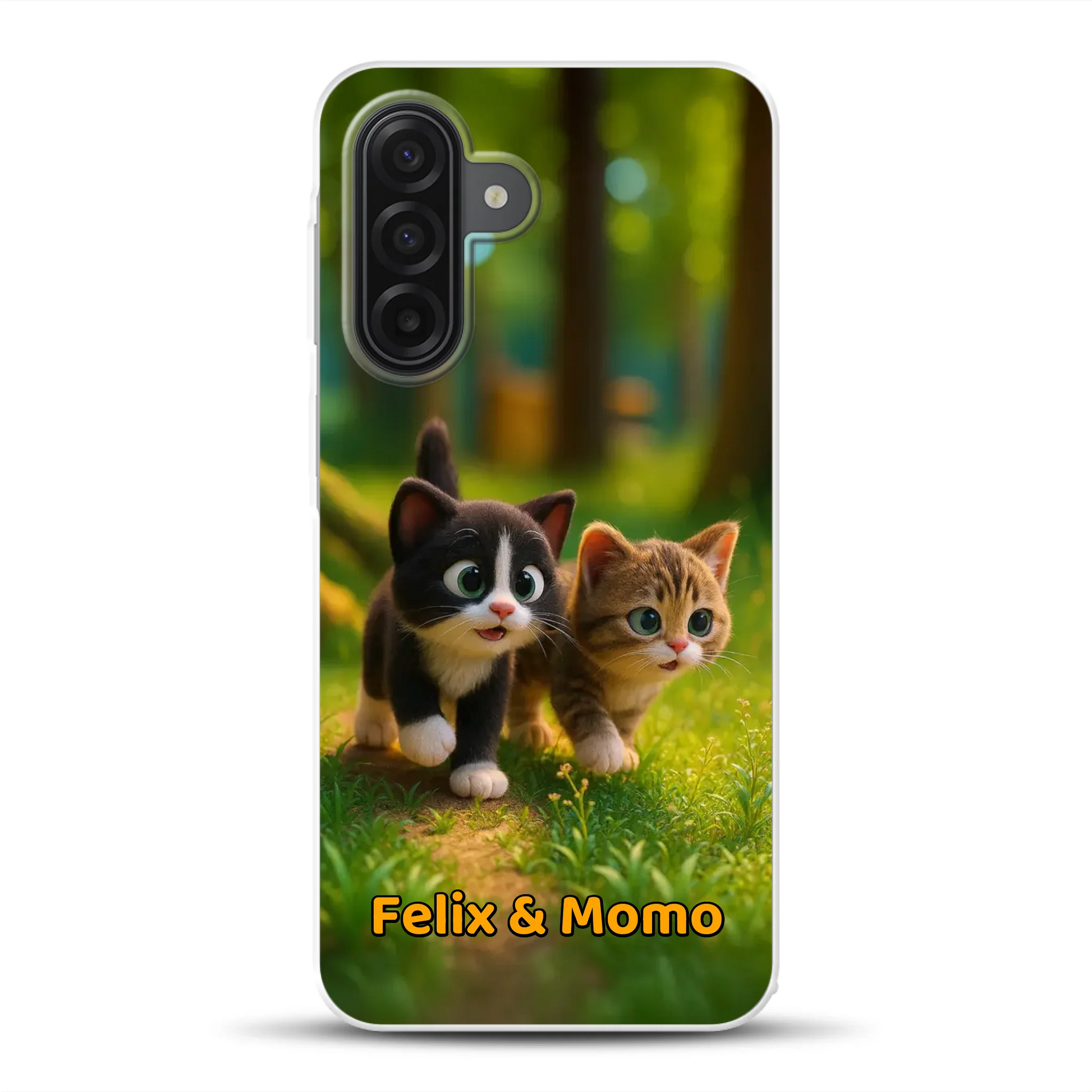 rv_0001_a17mockup.png