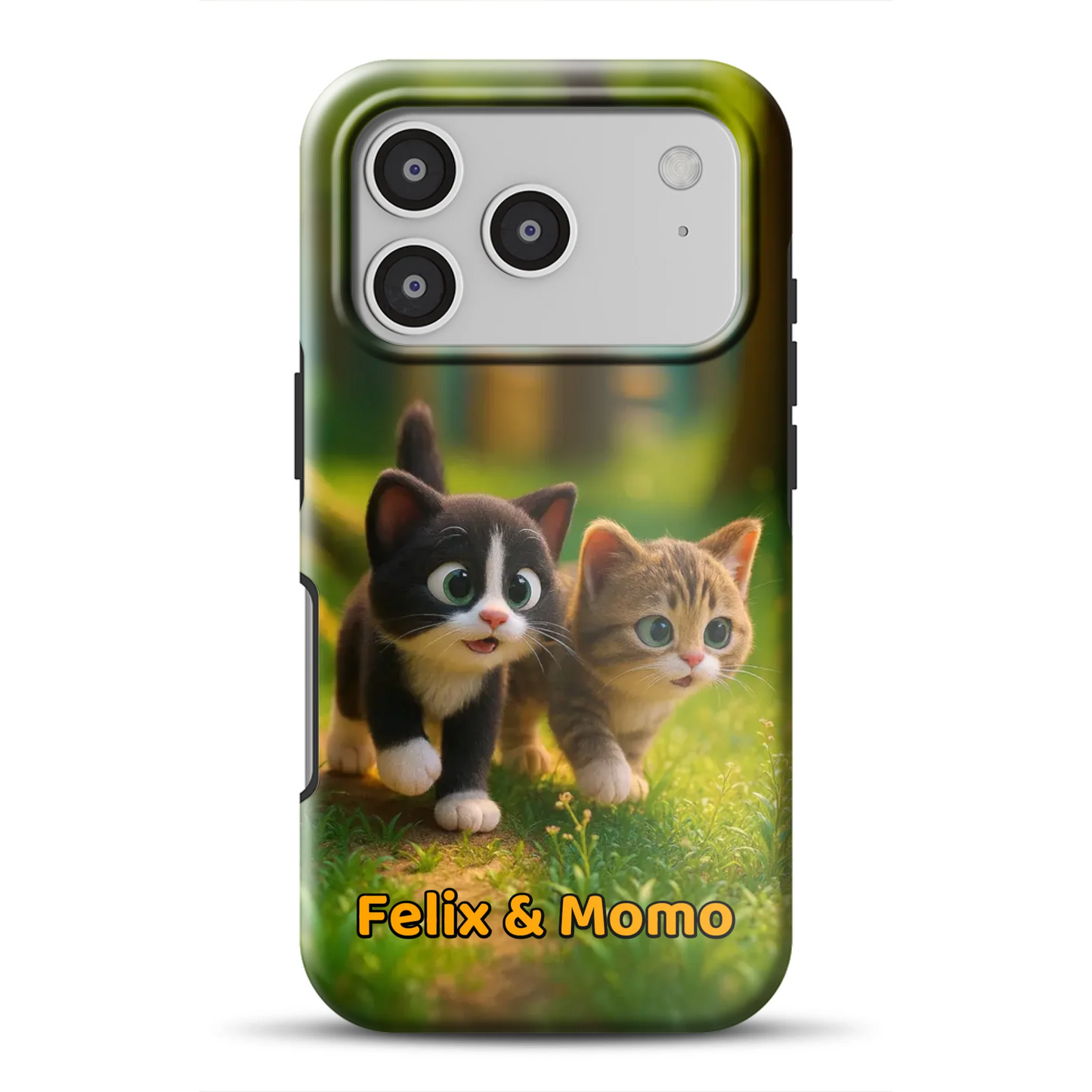 17promagsafemockup.png