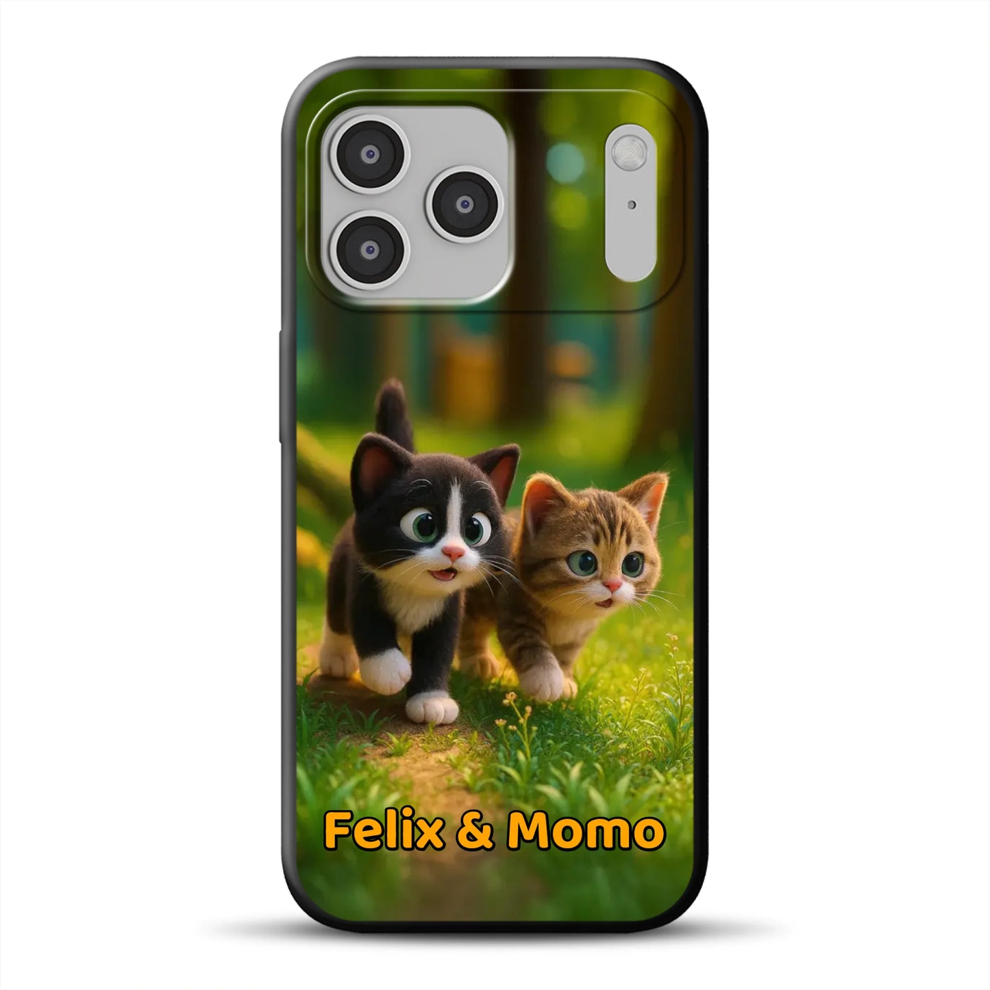 17-pro-max-b-mockup.png