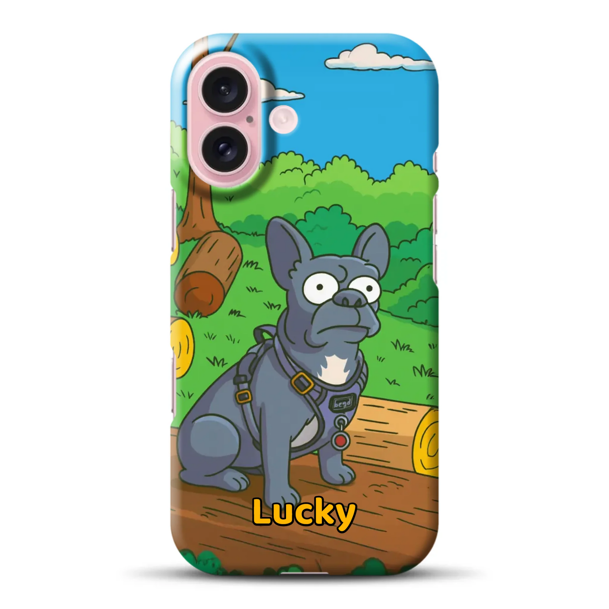 hardcase_0007_16-mockup.png