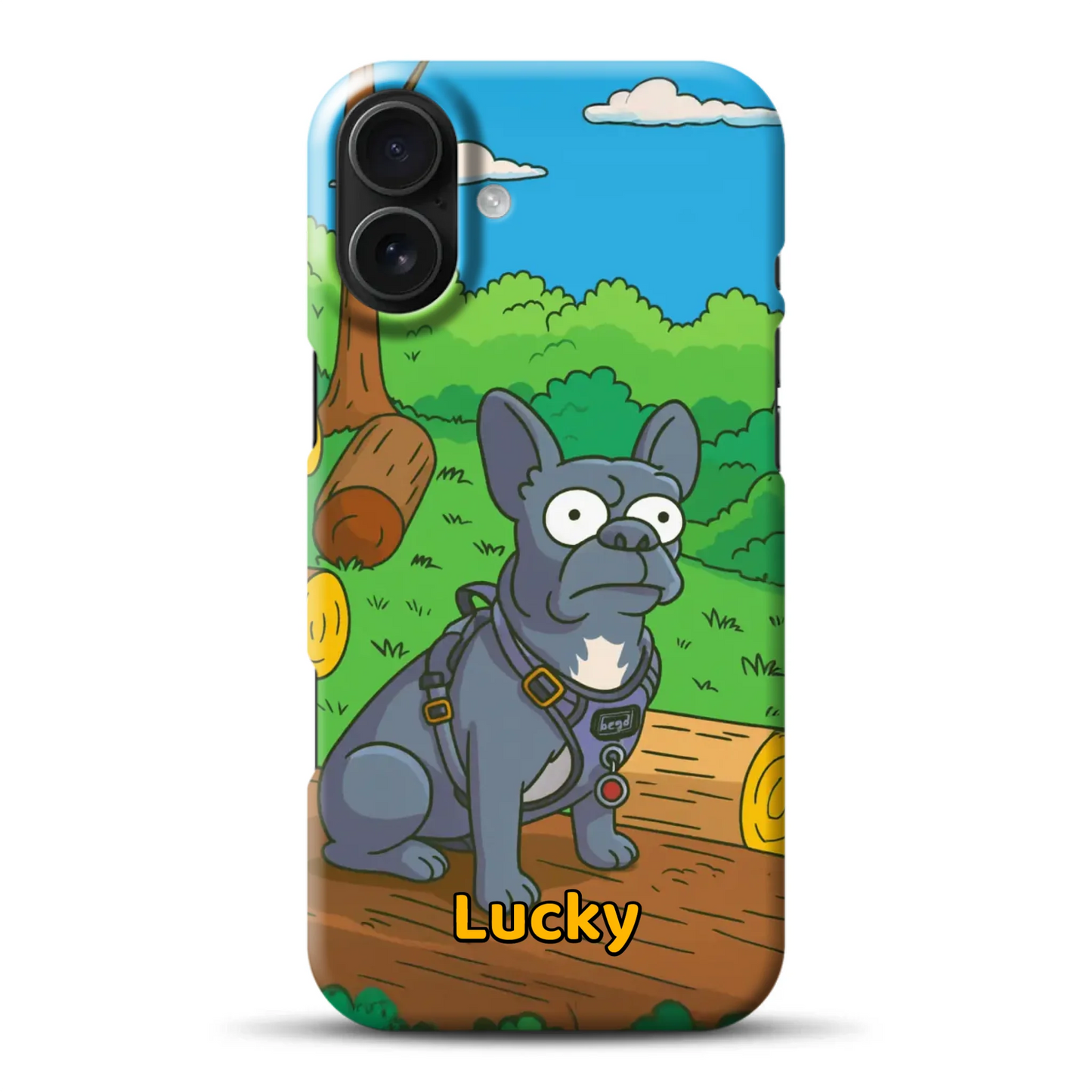 hardcase_0006_16-plus-mockup.png