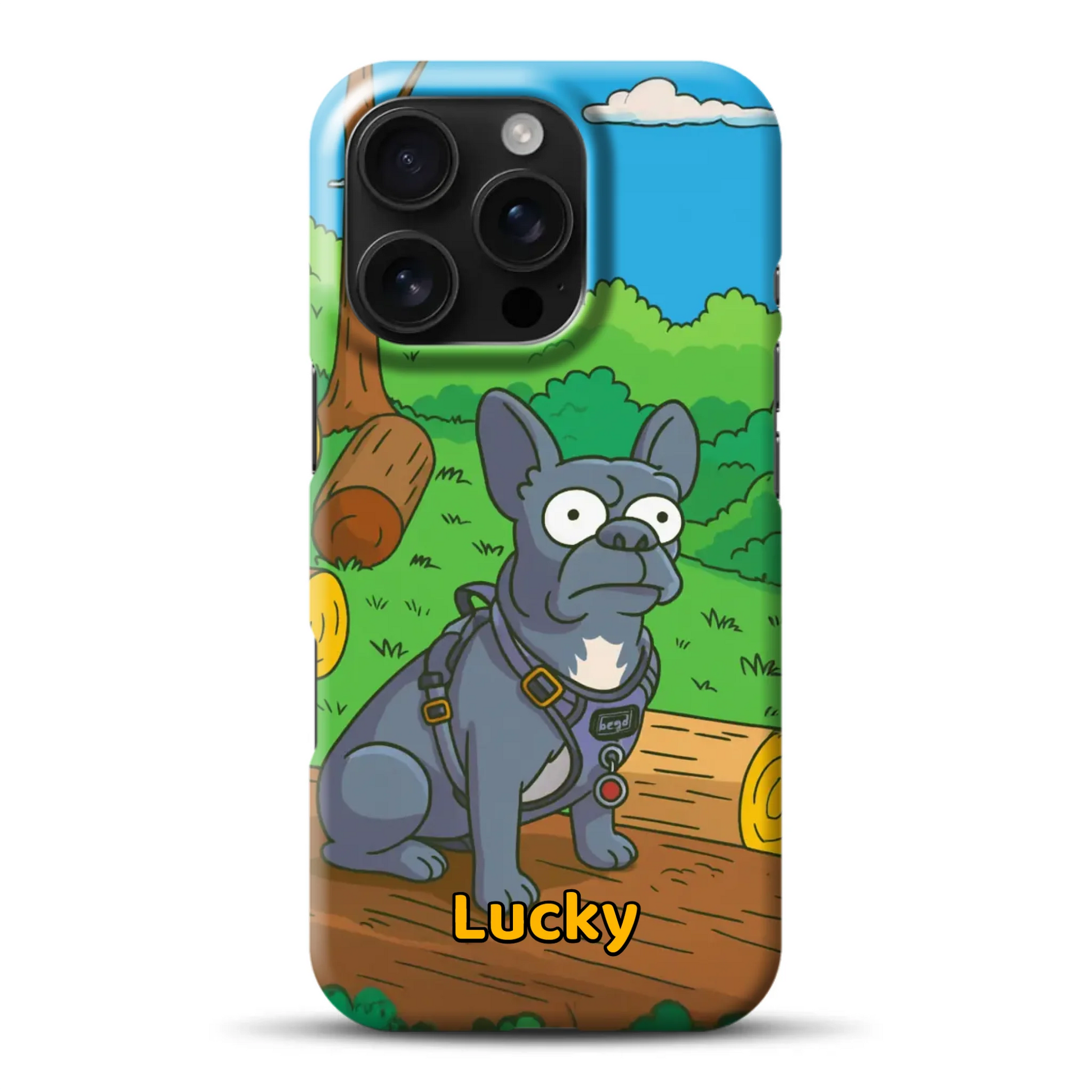hardcase_0004_16-pro-mockup.png