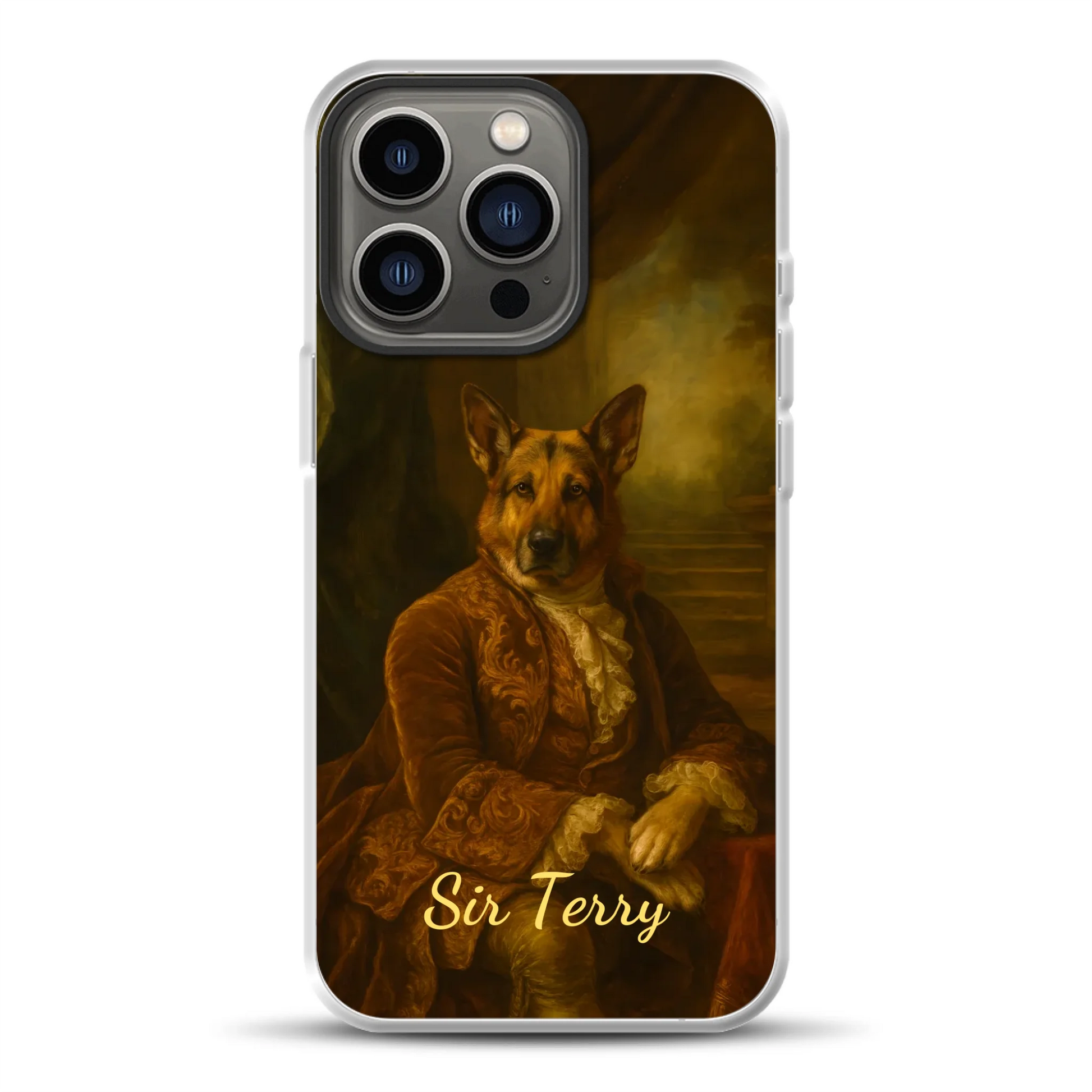 rv25_0005_hybrid-13-pro-mockup.png