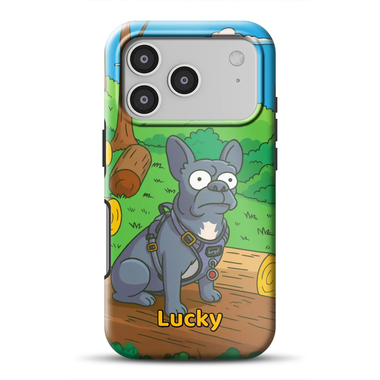 17promagsafemockup.png