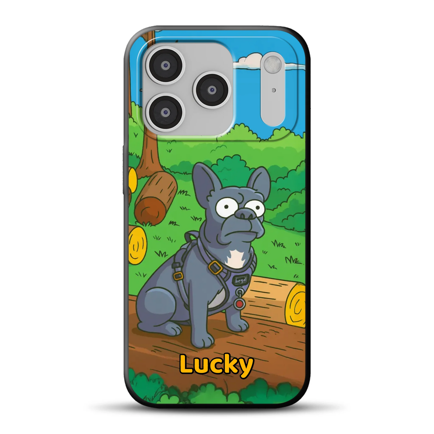 17-pro-b-mockup.png