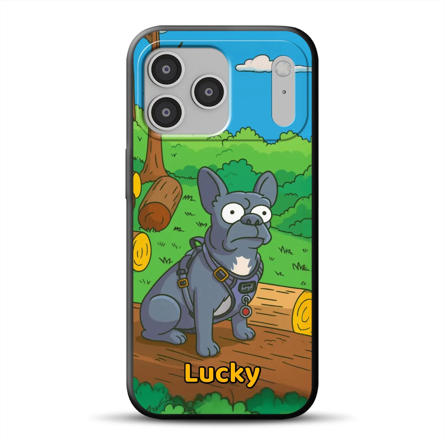 17-pro-max-b-mockup.png