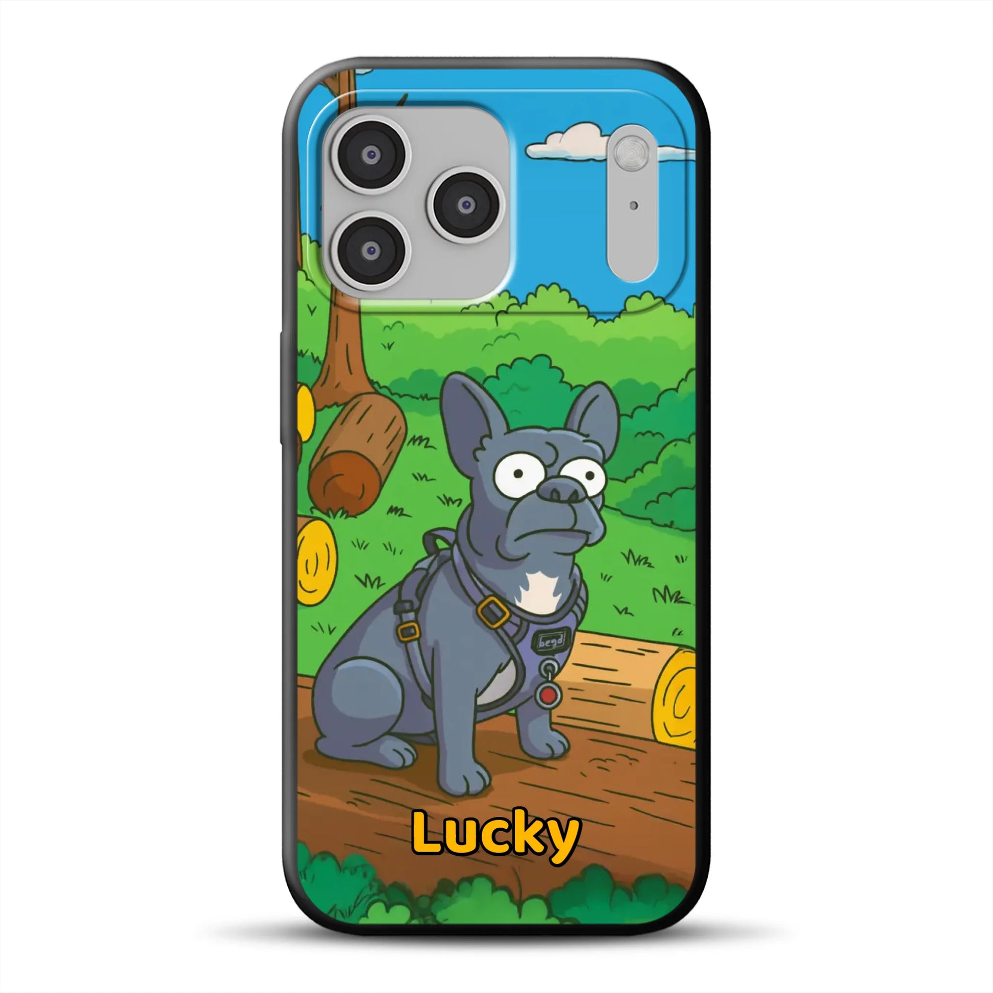 17-pro-max-b-mockup.png