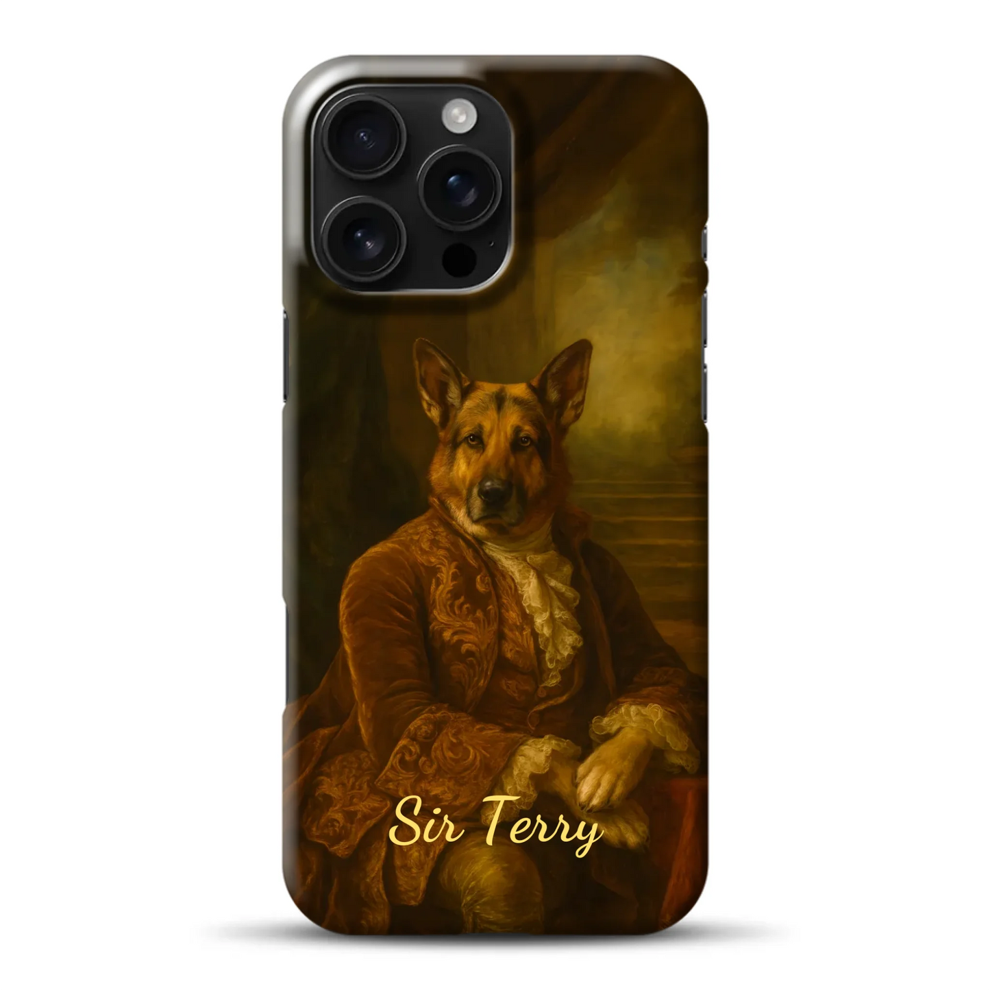hardcase_0005_16-pro-ax-mockup.png