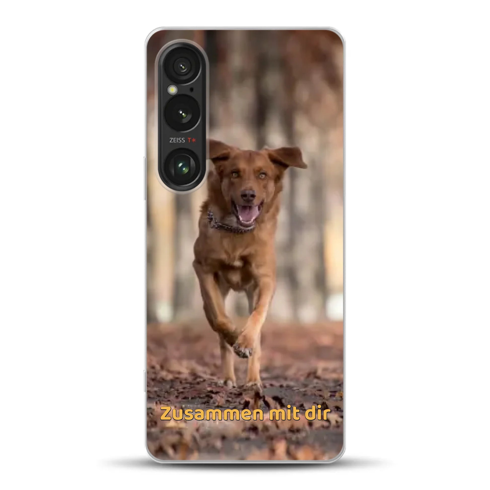 xperia-1-VI-m.png
