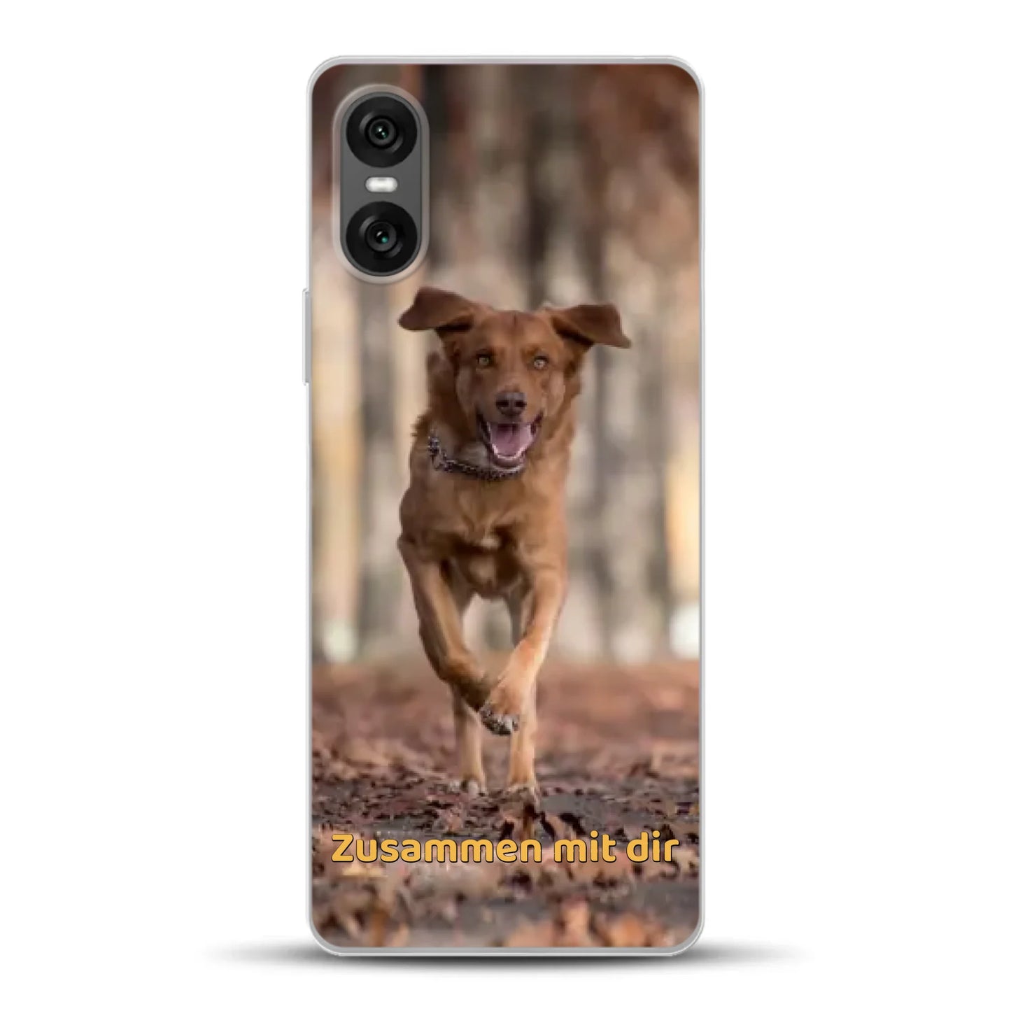 xperia-10-VI-m.png