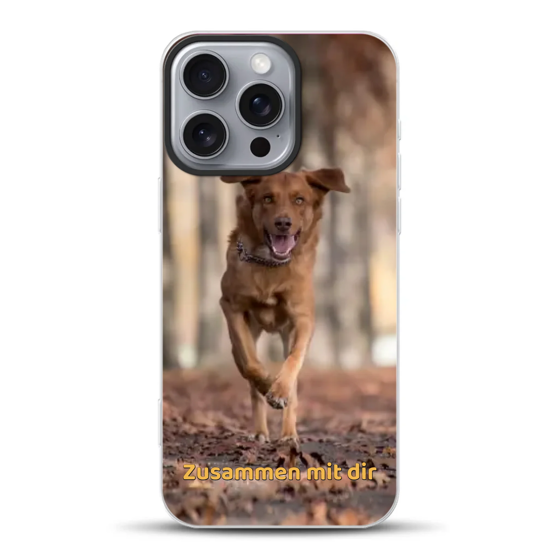 _0007_iphone-16-pro-max-hybrid-mockup.png