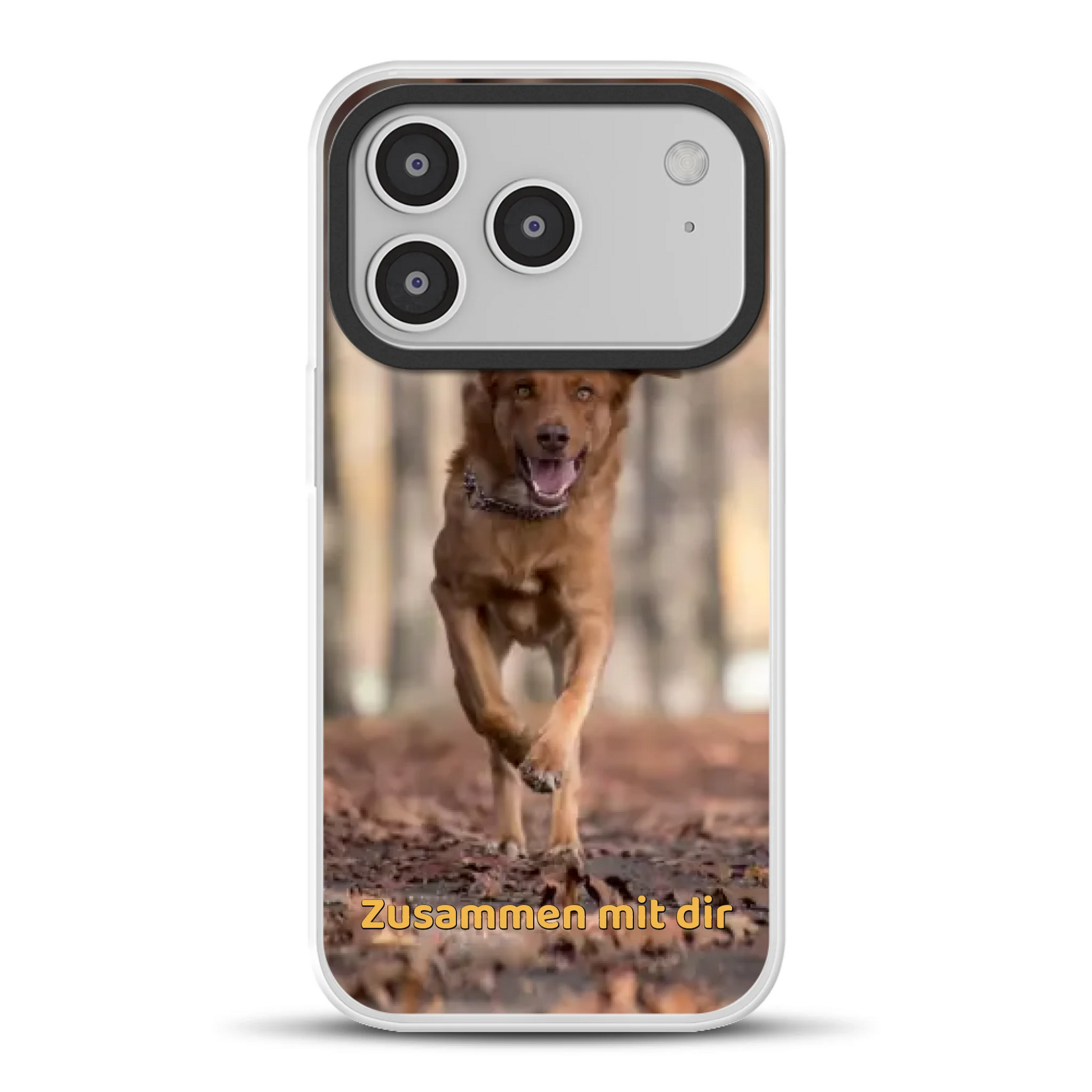 17prohybridmockup.png