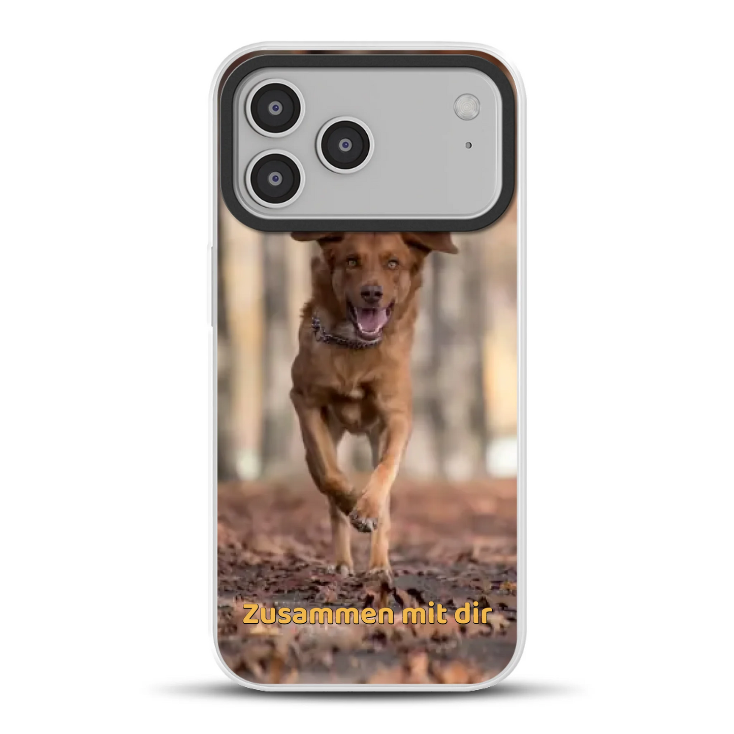 17promaxhybridmockup.png