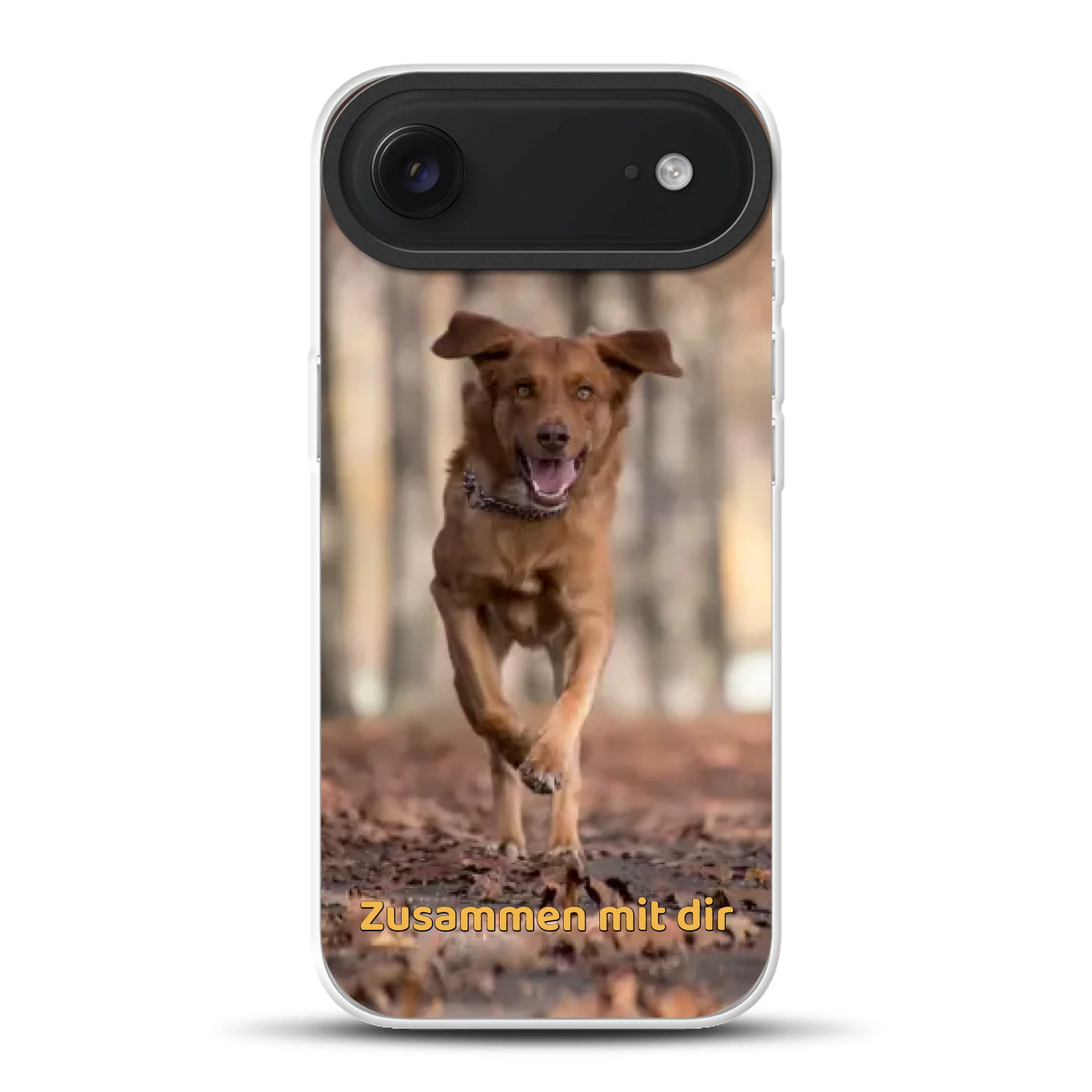 rv_0001_iphone-air-hybrid-mockup.png