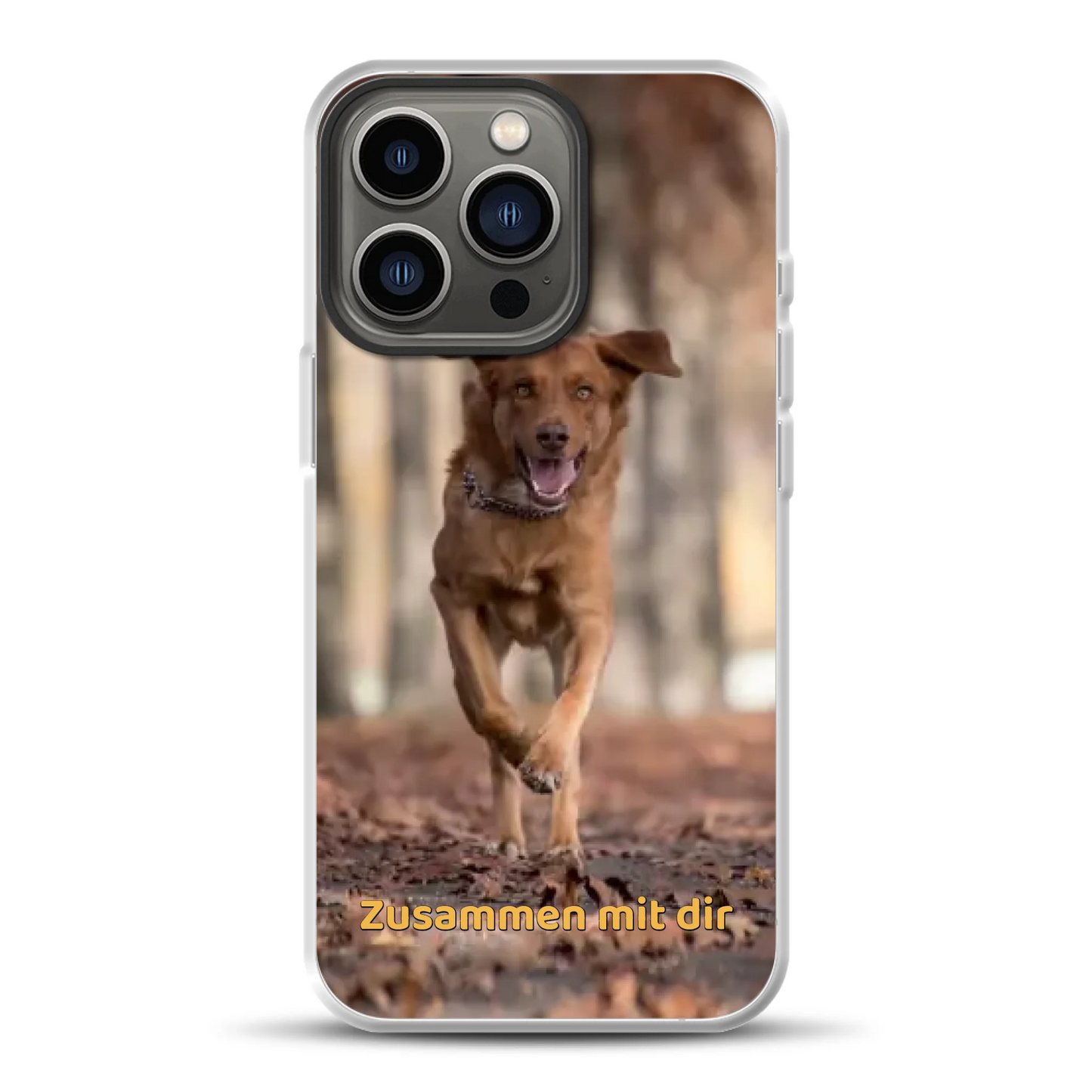 rv25_0005_hybrid-13-pro-mockup.png