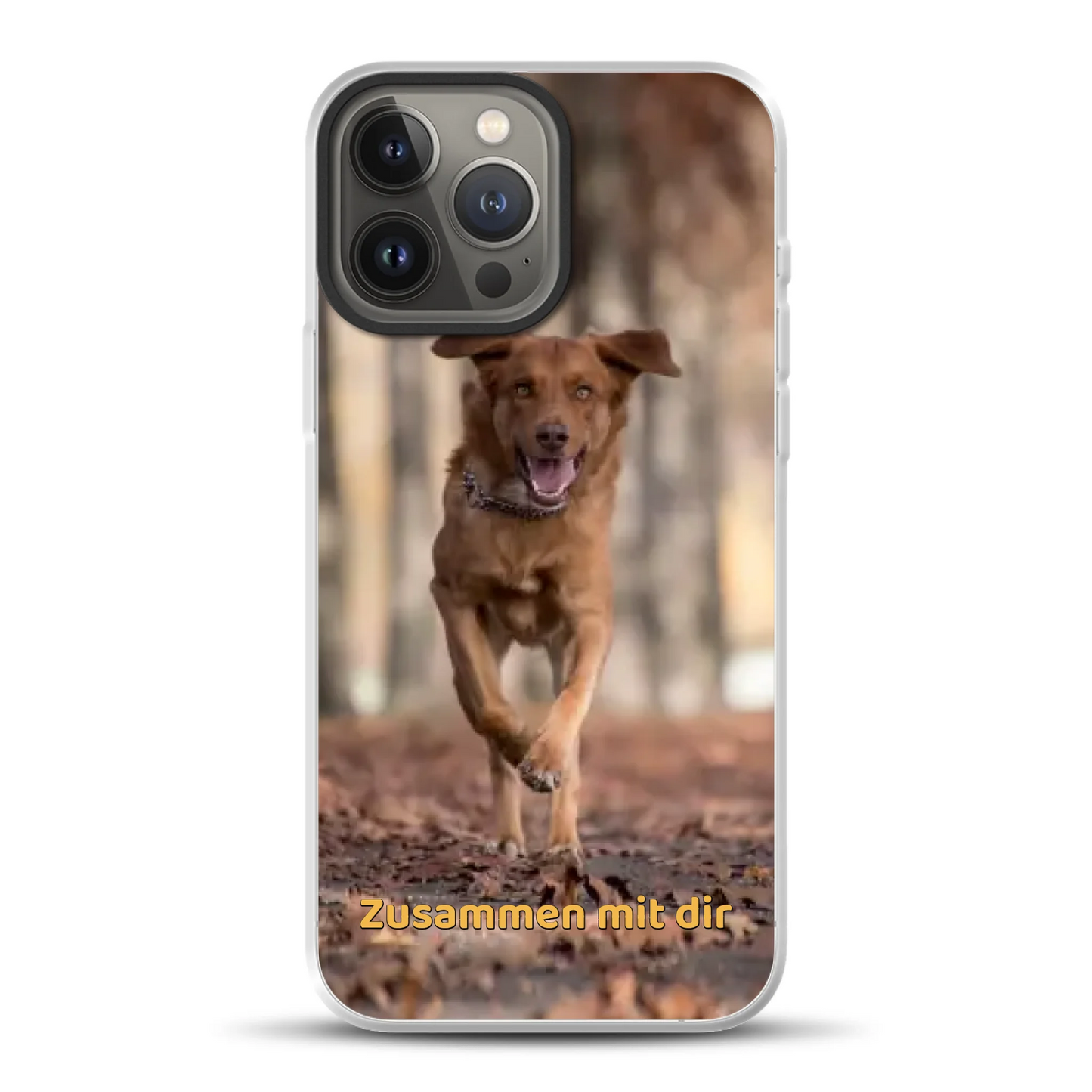 rv25_0004_hybrid-13-pro-max-mockup.png
