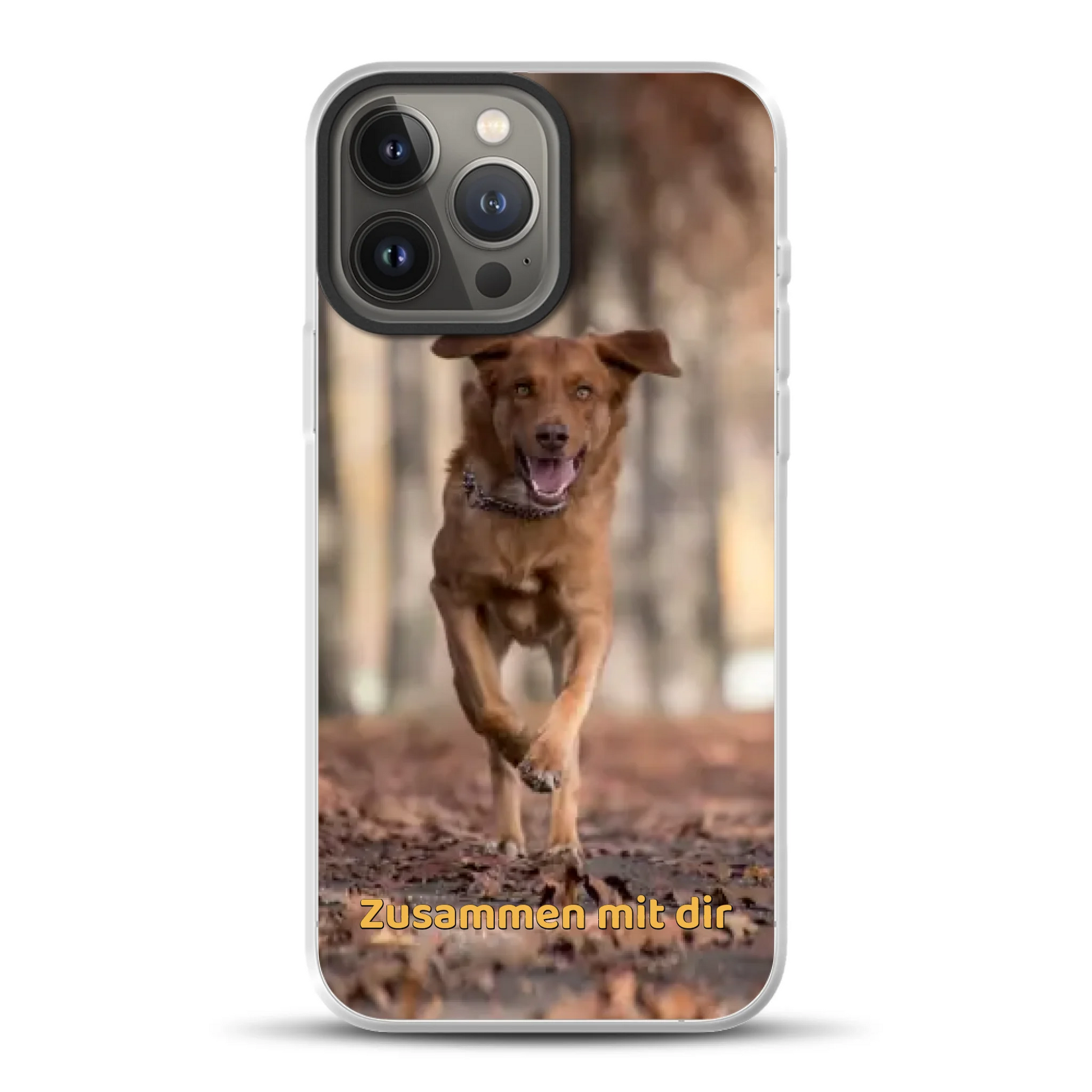 rv25_0004_hybrid-13-pro-max-mockup.png