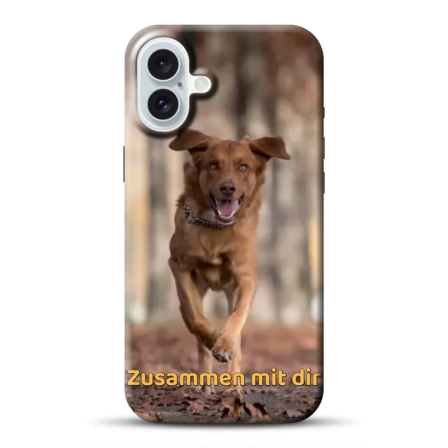 _0005_16-plus-mockup.png