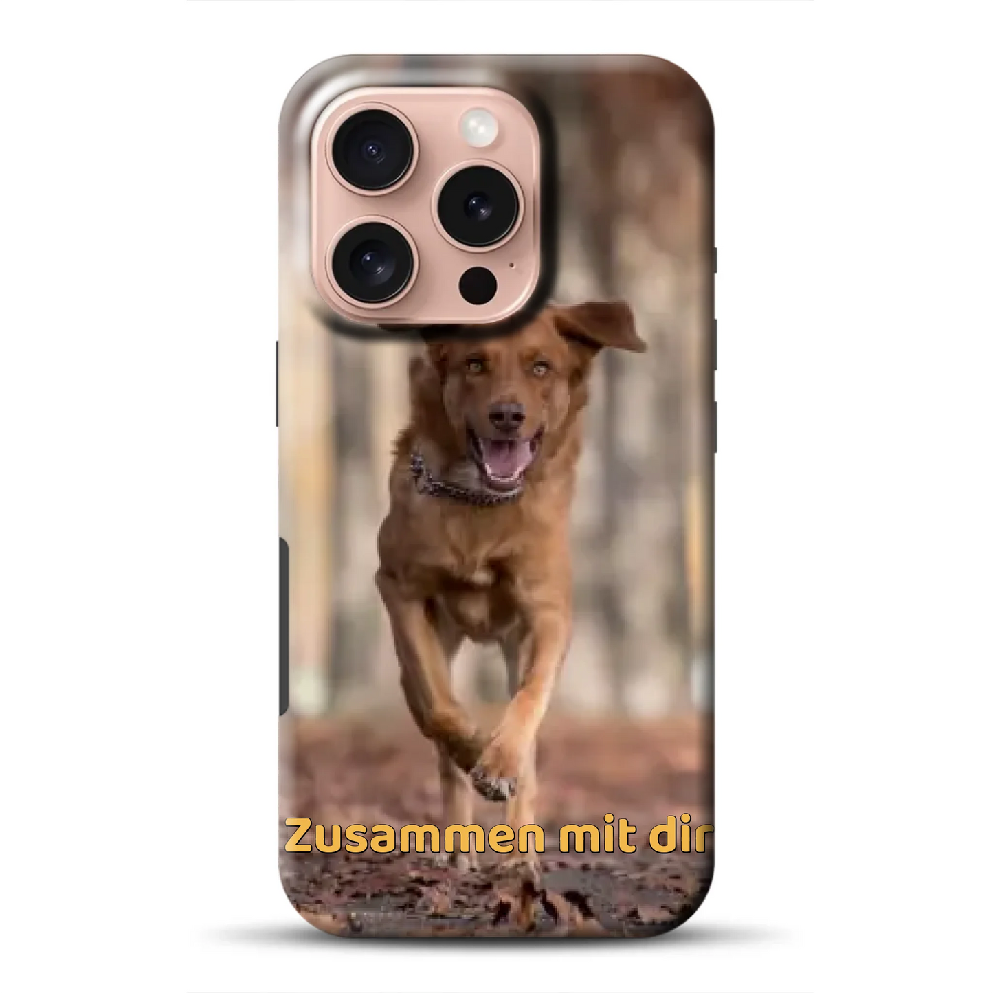 _0006_16-pro-mockup.png