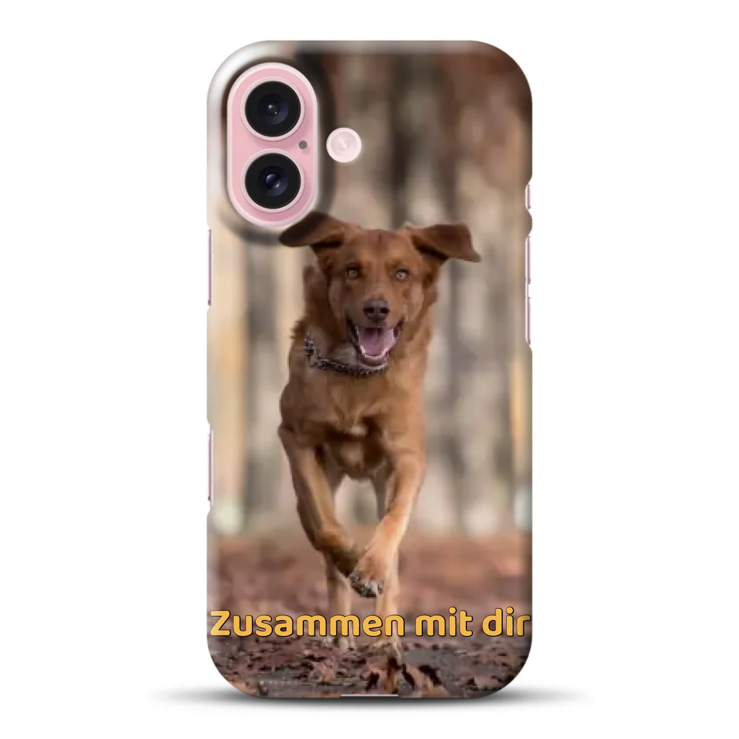 hardcase_0007_16-mockup.png
