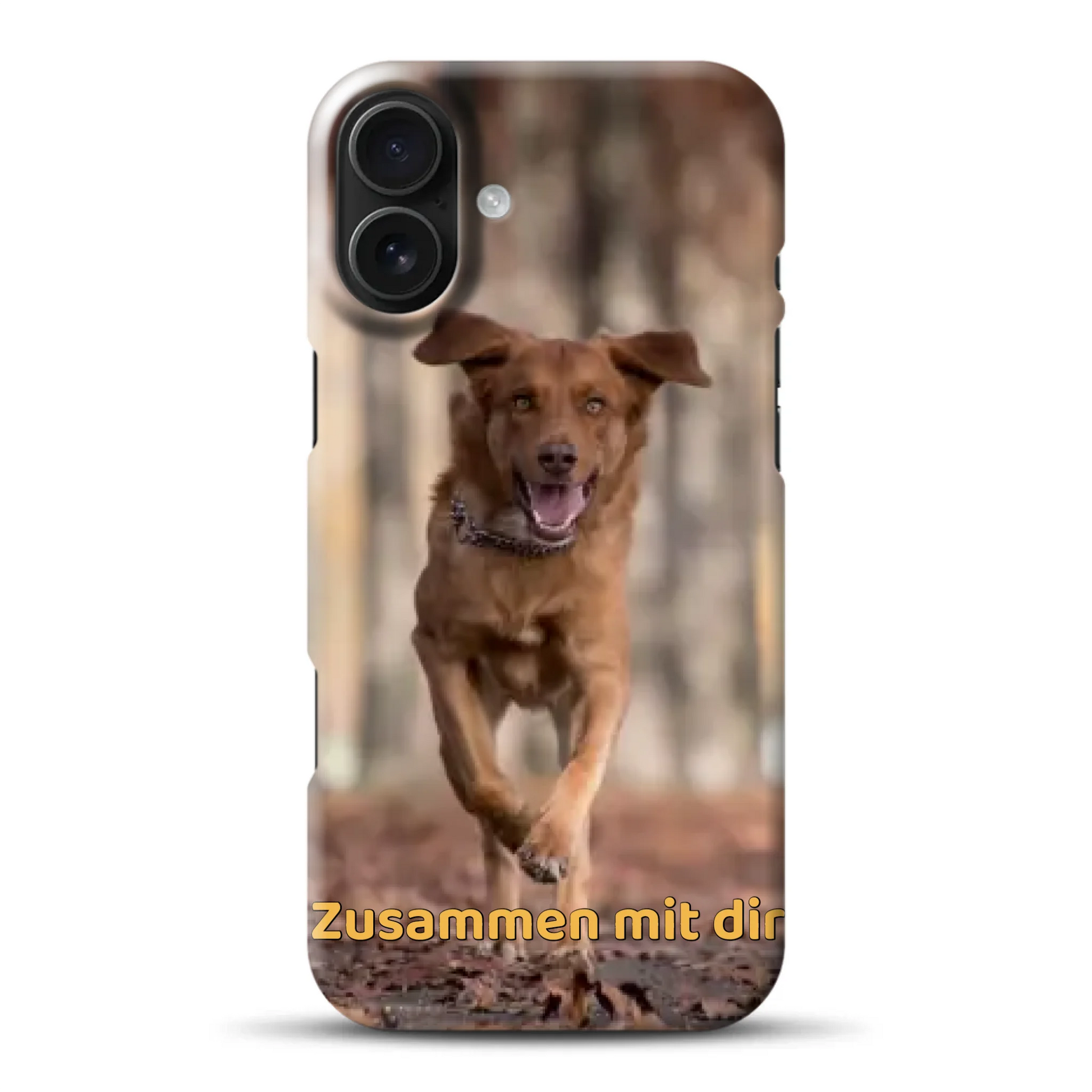 hardcase_0006_16-plus-mockup.png