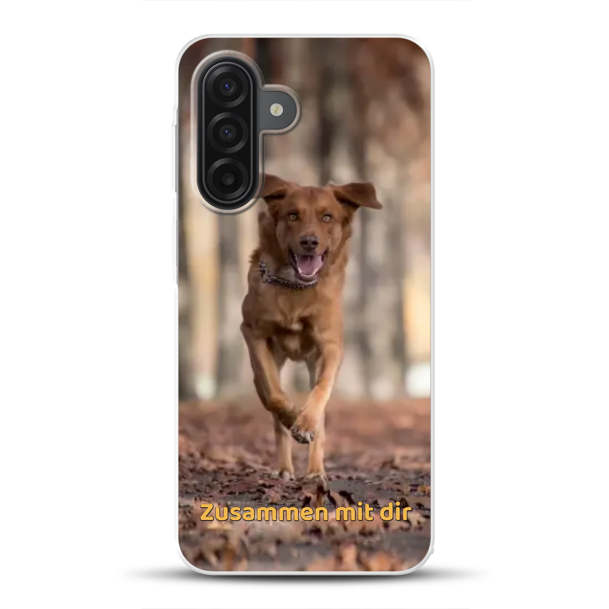 rv_0001_a17mockup.png