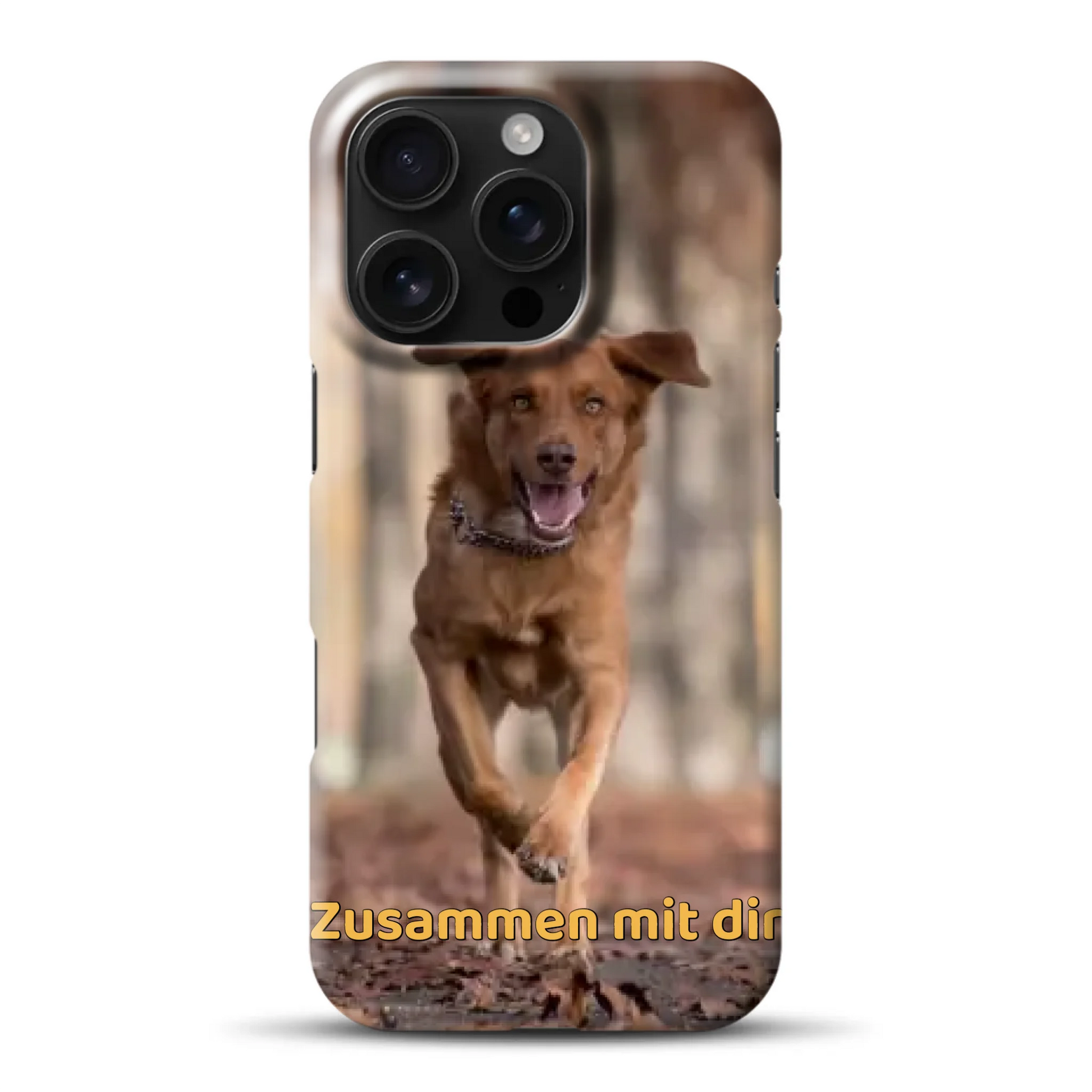 hardcase_0004_16-pro-mockup.png