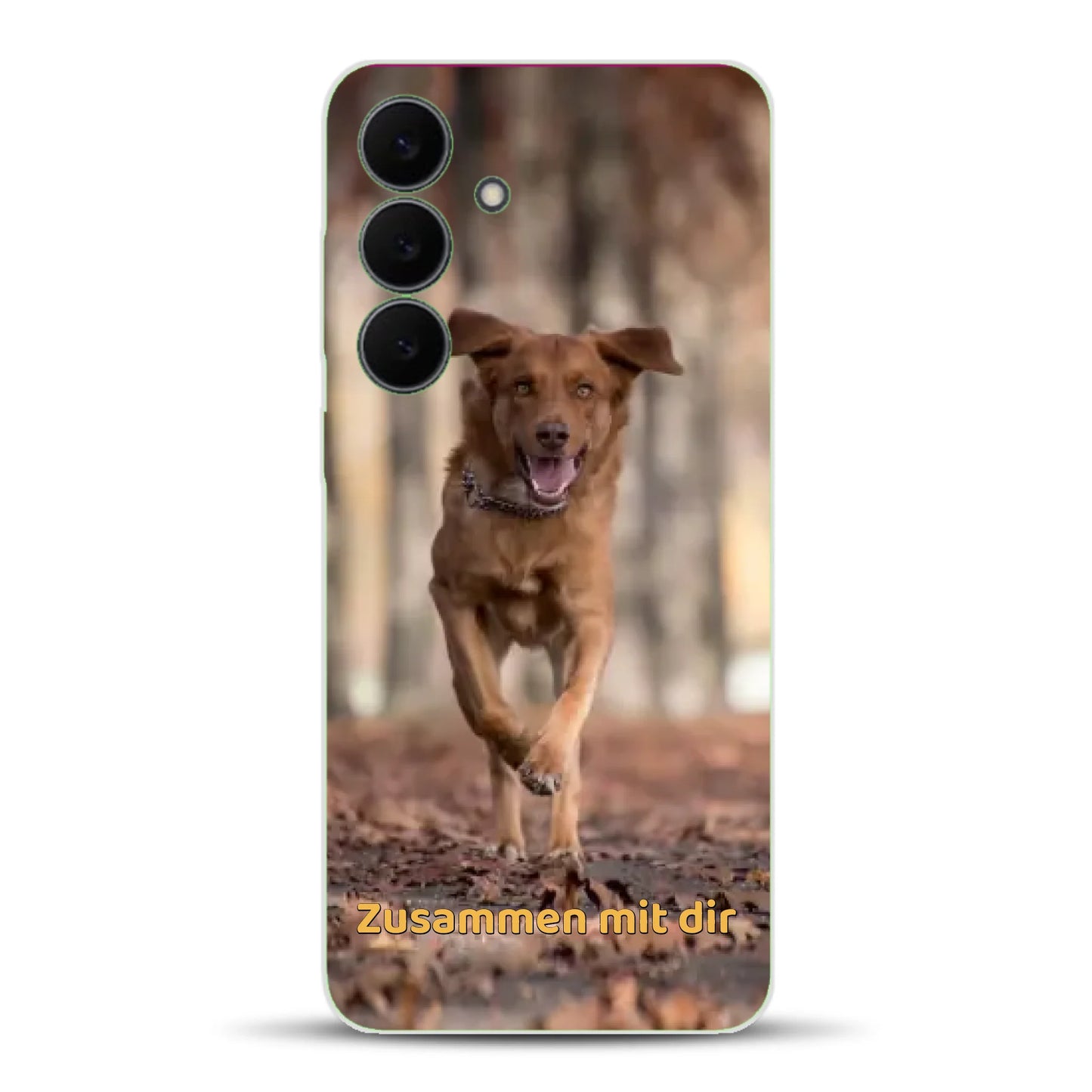 rv2_0002_rv_0002_s25fe-t.png