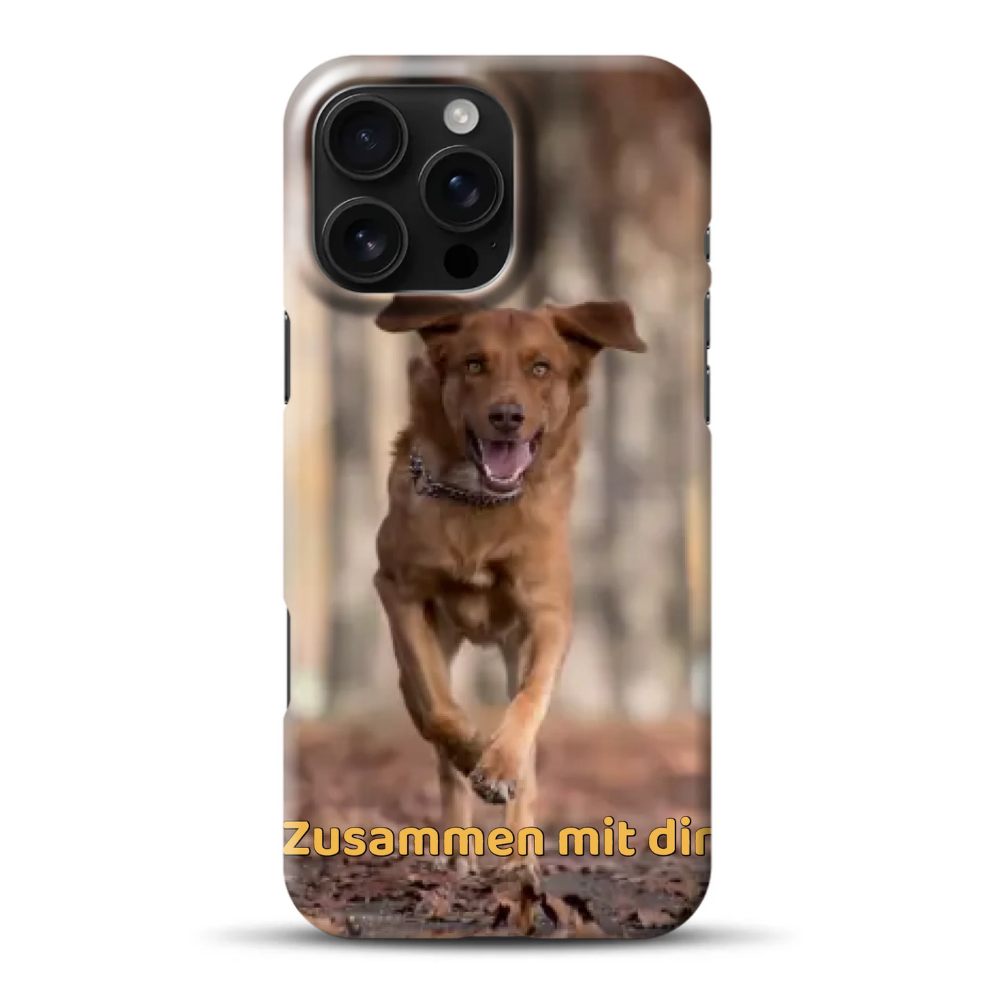 hardcase_0005_16-pro-ax-mockup.png