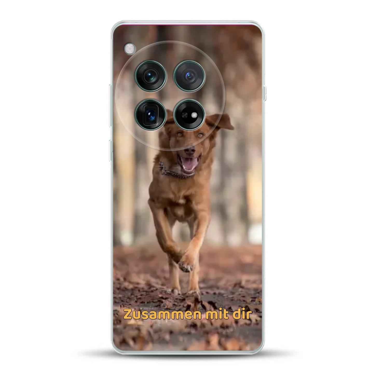 _0001_12r-mockup.png