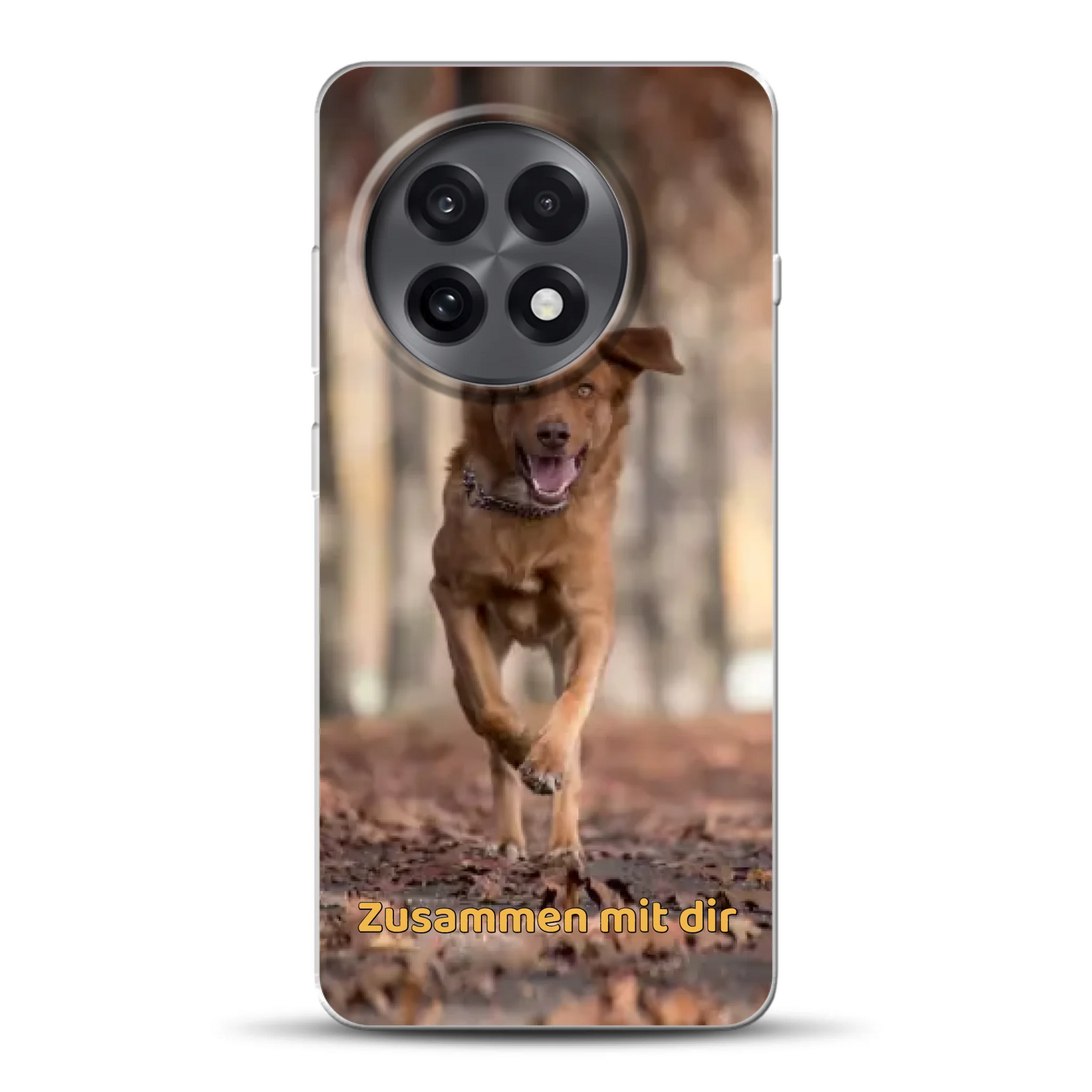 rv_0003_oneplus-13r-mockup.png