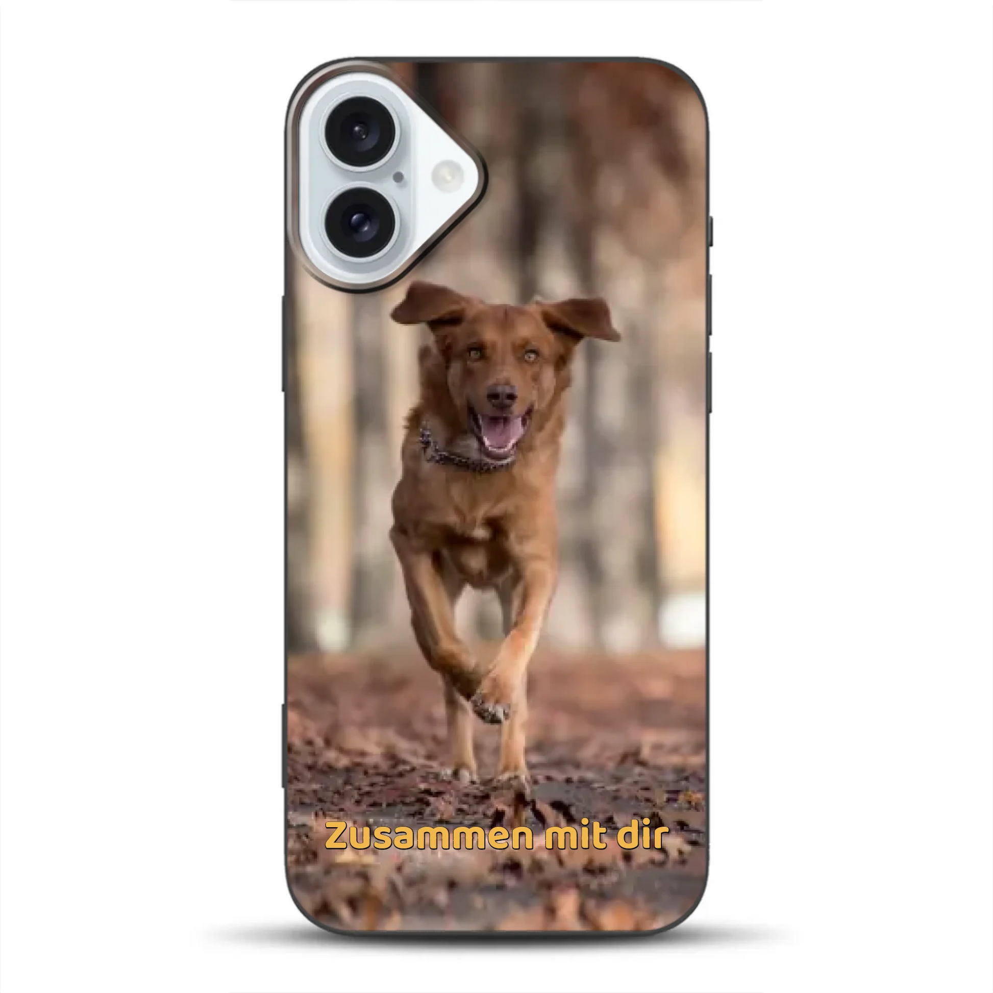 _0005_16-plus-b-mockup.png