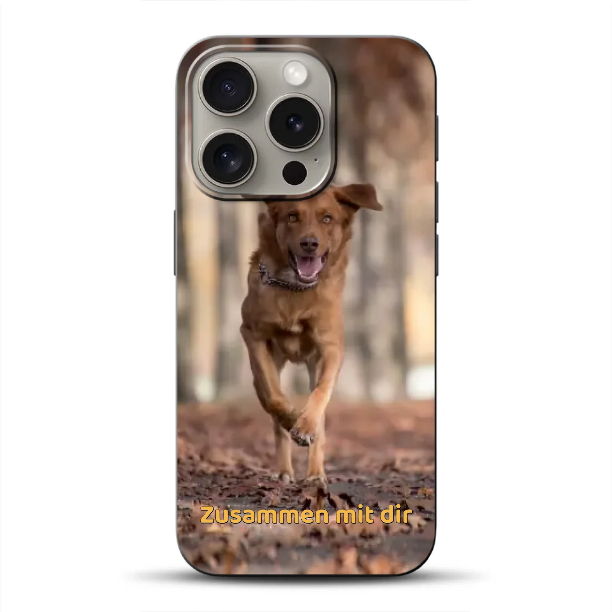 _0006_16-pro-b-mockup.png