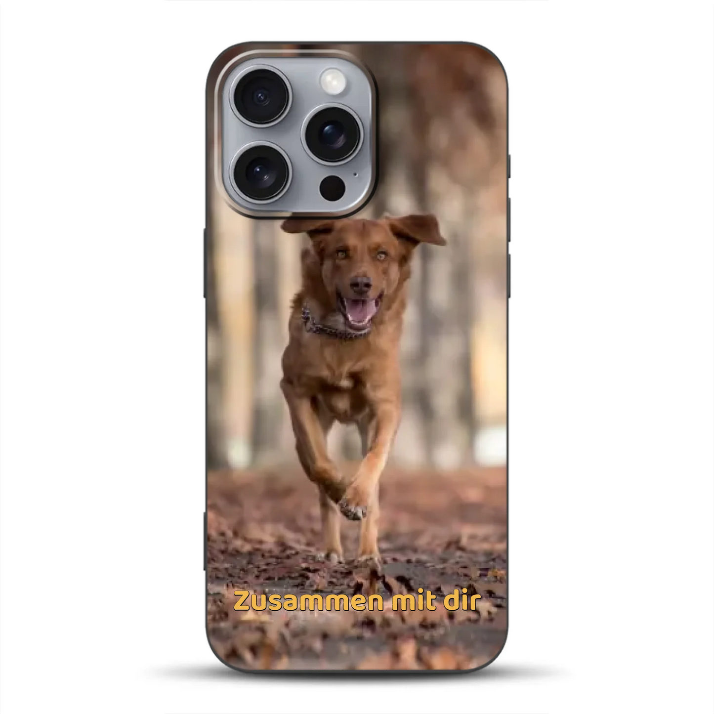 _0007_16-pro-max-b-mockup.png