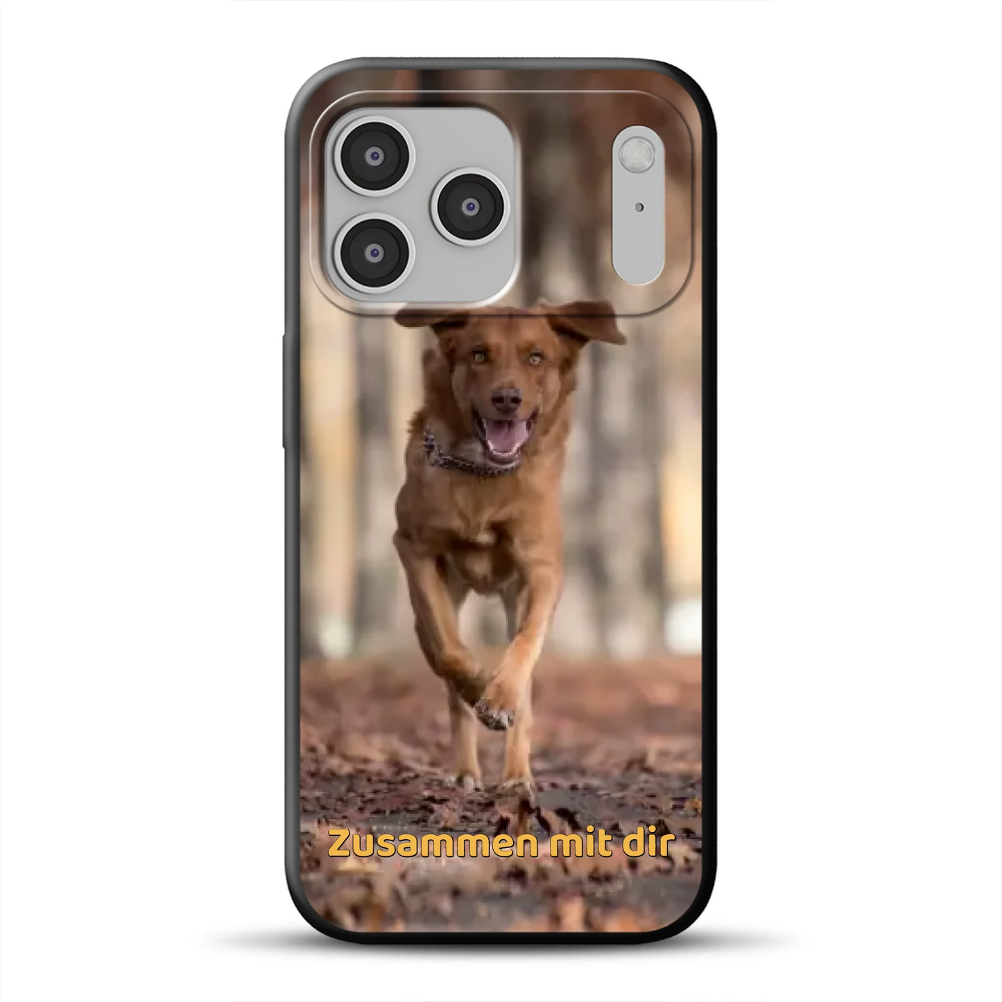 17-pro-max-b-mockup.png