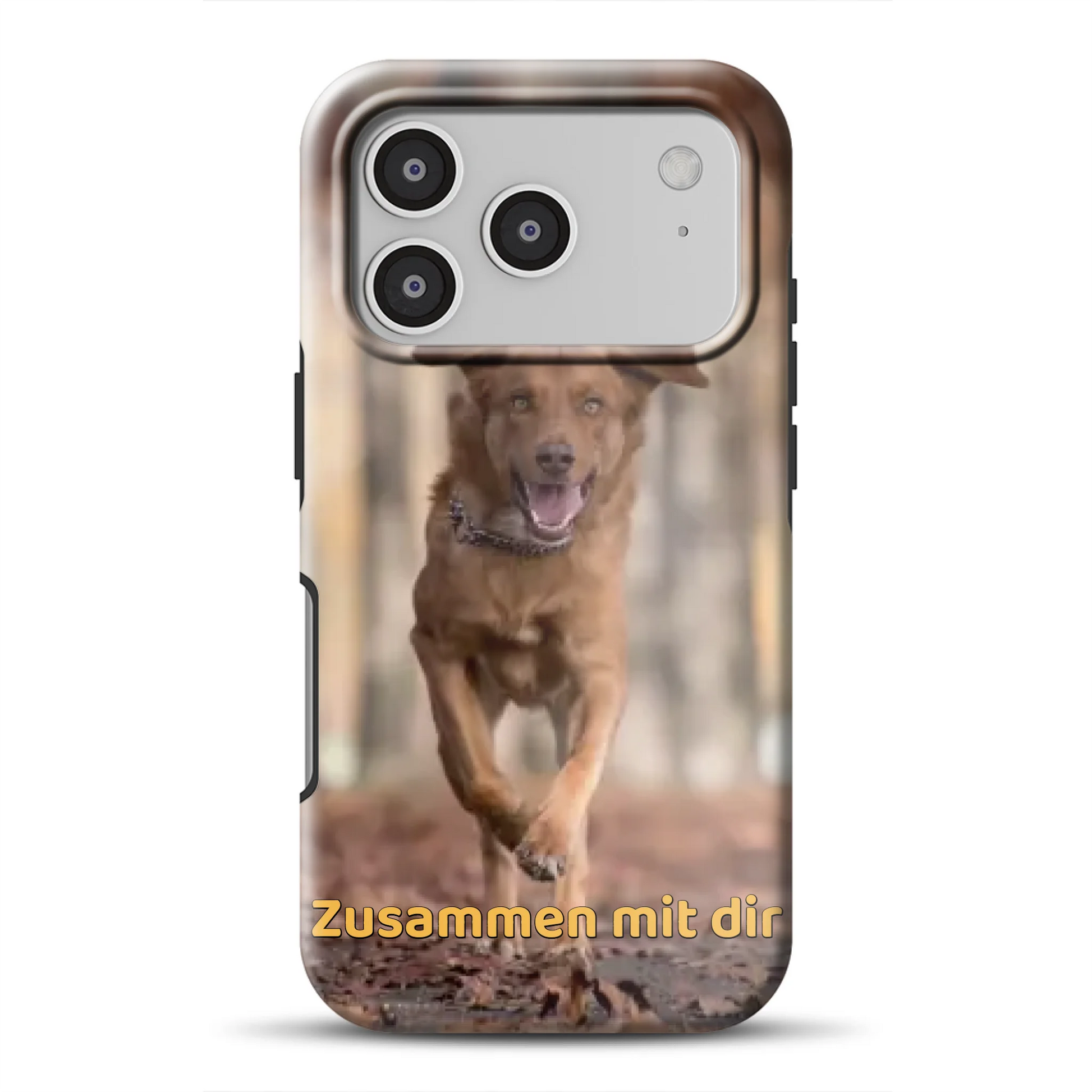 17promagsafemockup.png
