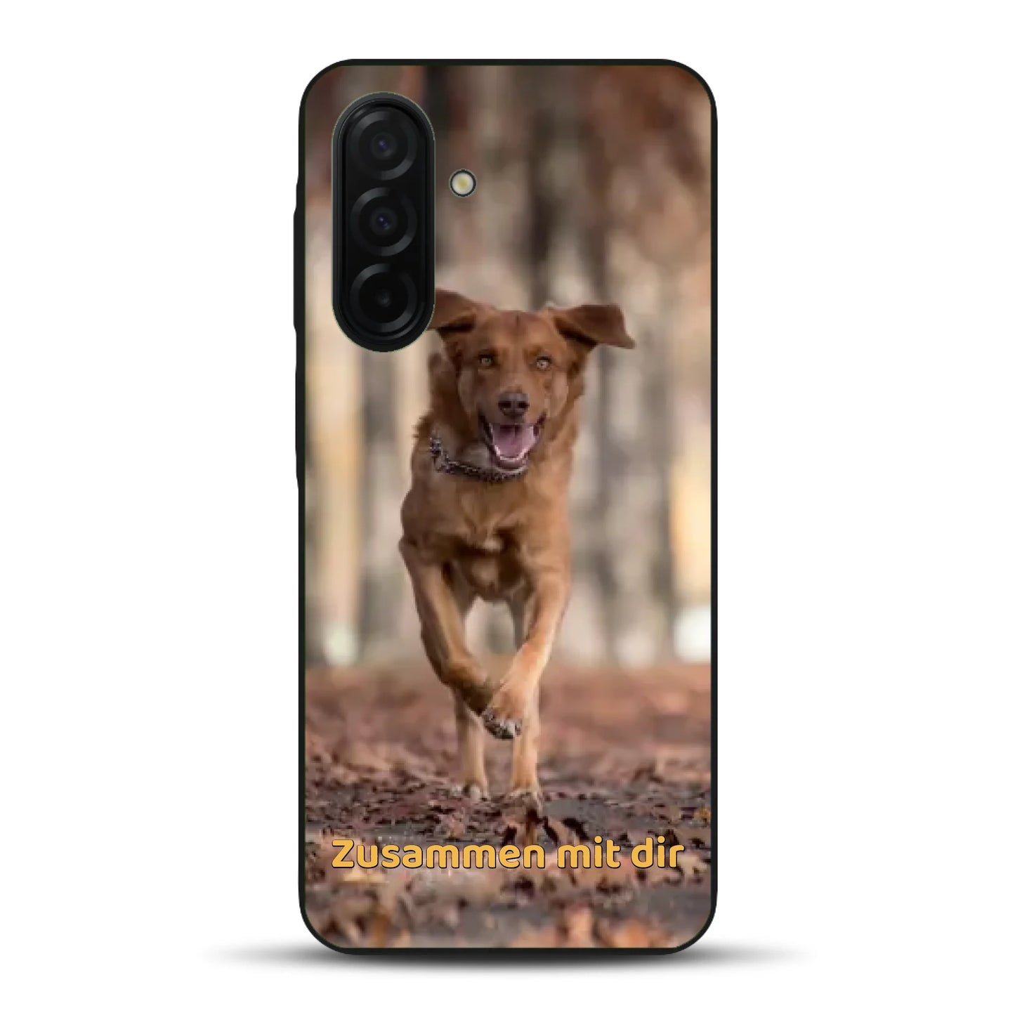 rv_0003_a26-b